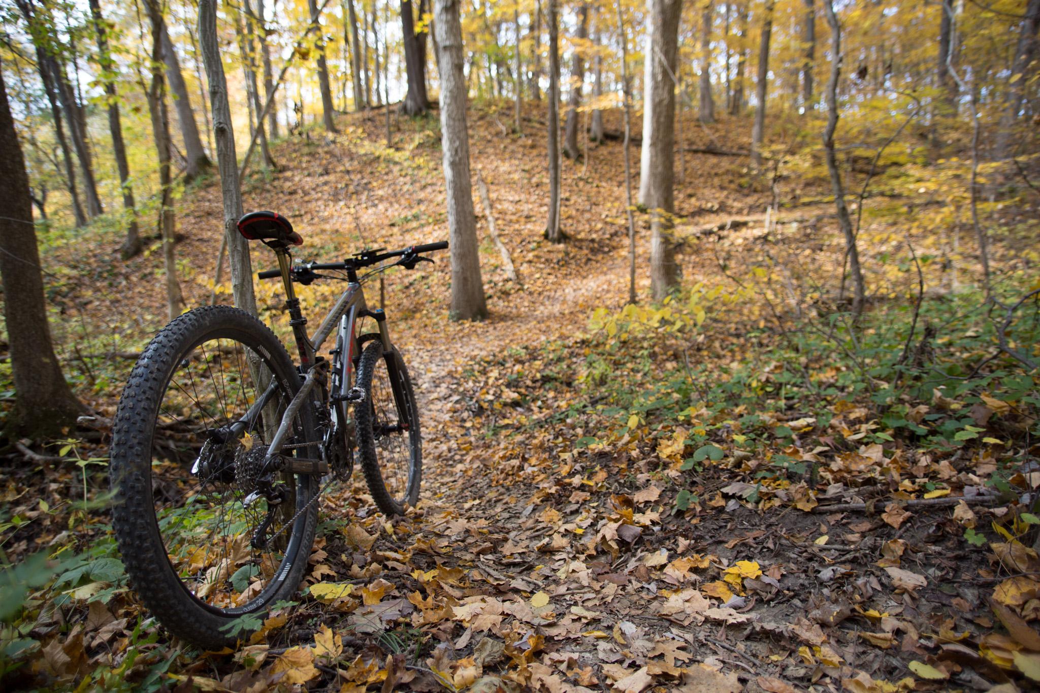 A mountain bike is parked on a leaf-covered trail in a forest during autumn. The scene features tall trees with yellow and orange leaves, creating a vibrant fall atmosphere. The path winds upward, inviting exploration through the colorful landscape. Kickapoo mountain bike trail.