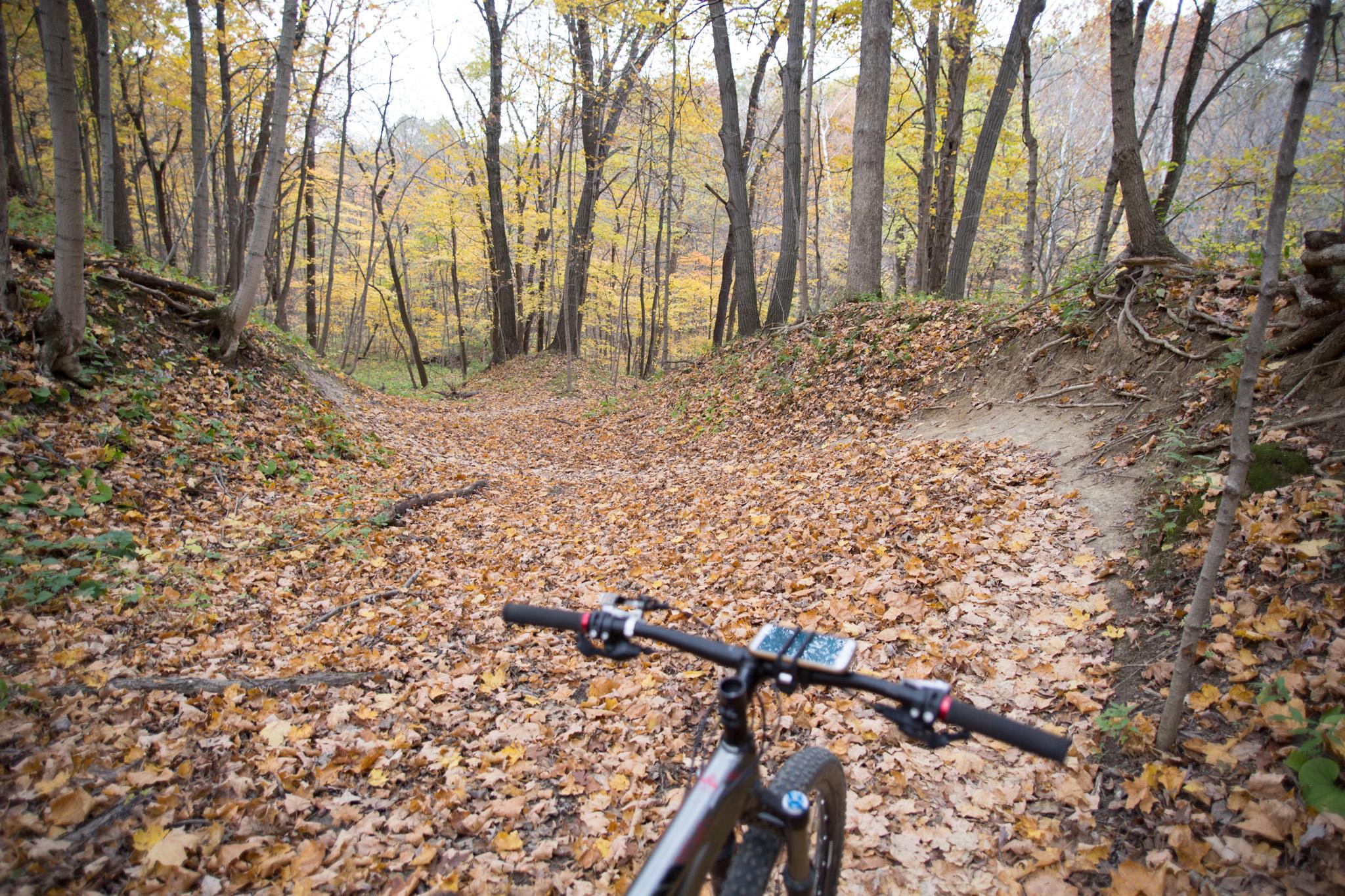 Mountain bike handlebars in the foreground with a trail covered in fallen autumn leaves, leading through a forest of trees with vibrant yellow foliage. The scene captures a serene outdoor setting, perfect for biking or exploring nature. Kickapoo mountain bike trail.