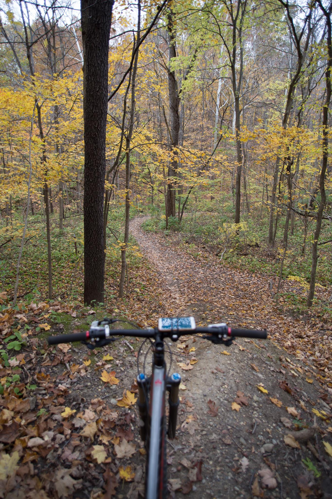 A view from the handlebars of a mountain bike positioned at the top of a dirt trail in a forest. The trail winds down through a landscape of autumn-colored leaves, surrounded by trees with yellow and green foliage. The ground is covered with fallen leaves, creating a picturesque fall setting. Kickapoo mountain bike trail.