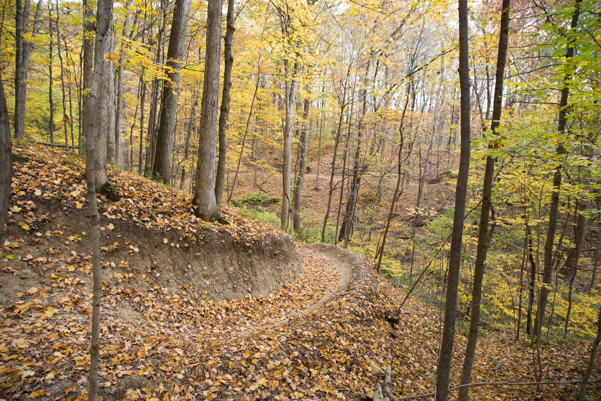 A winding dirt path through a forest in autumn, surrounded by trees with yellow and orange leaves. The ground is covered with fallen leaves, and the scenery highlights the natural beauty of the season. Kickapoo mountain bike trail.