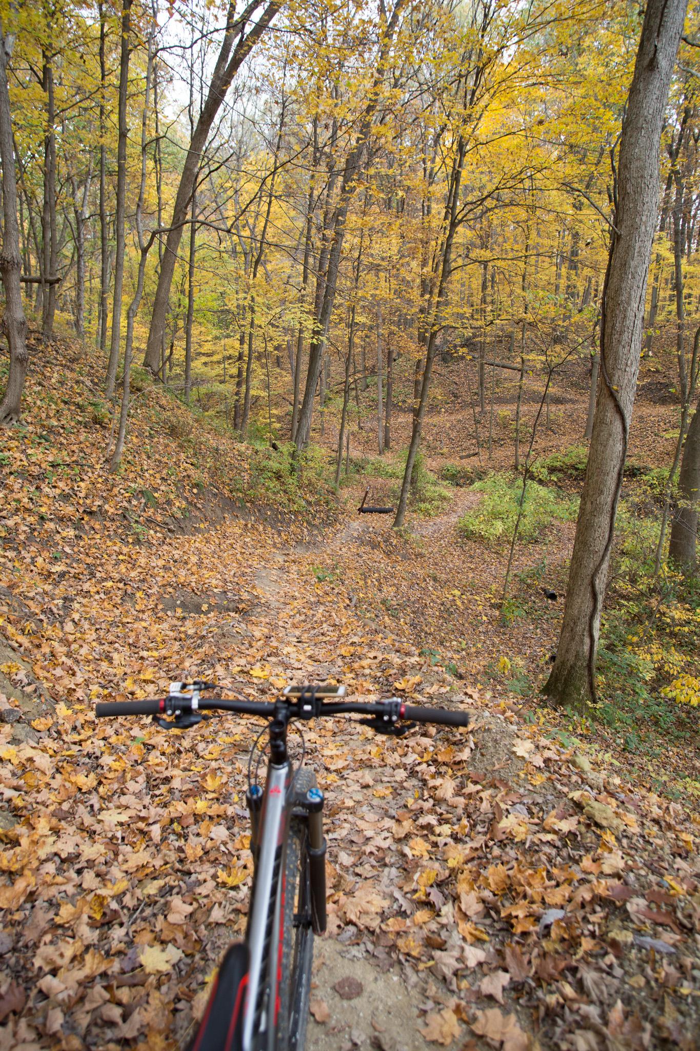 A view of a mountain bike's handlebars from the perspective of a rider descending a trail surrounded by autumn foliage. The ground is covered in colorful fallen leaves, and the trees in the background display vibrant yellow leaves, creating a scenic landscape in a wooded area. Kickapoo mountain bike trail.