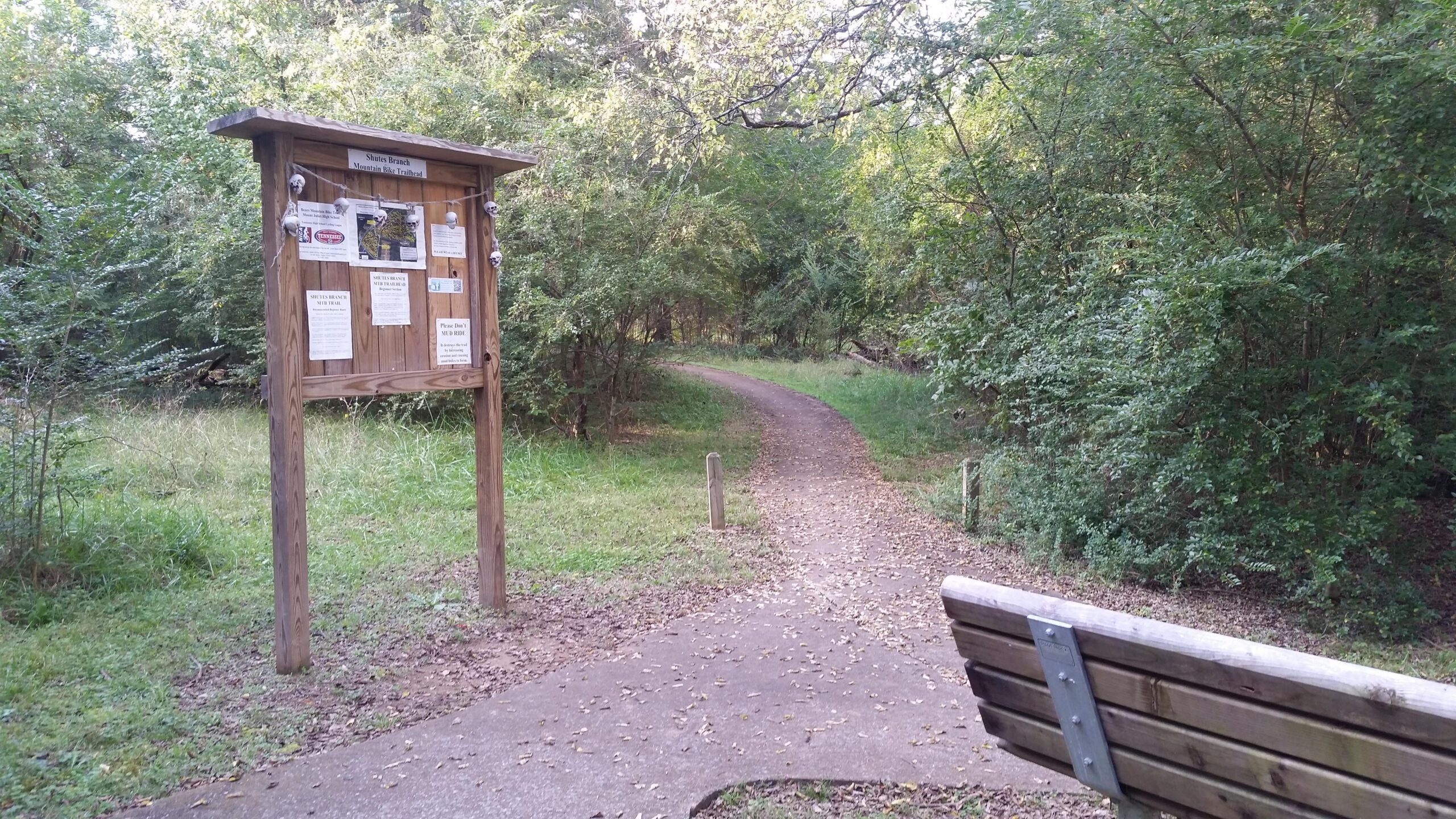 Wooden information board with trail maps and notices next to a winding path through a green, wooded area. A bench is visible in the foreground, with the pathway leading further into the trees, covered with fallen leaves and surrounded by lush greenery. Shutes Branch mountain bike trail.