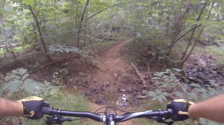 View from the handlebars of a mountain bike navigating a narrow dirt trail in a dense forest. The trail features greenery on both sides, with visible rocks and a small stream nearby, suggesting an adventurous outdoor setting. Gunpowder Falls State Park mountain bike trail.