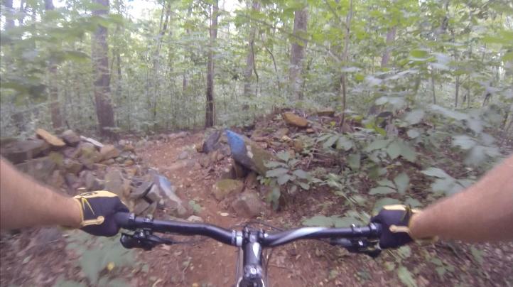 A cyclist's view from the handlebars of a mountain bike navigating a rocky trail surrounded by dense green foliage in a forest. Gunpowder Falls State Park mountain bike trail.