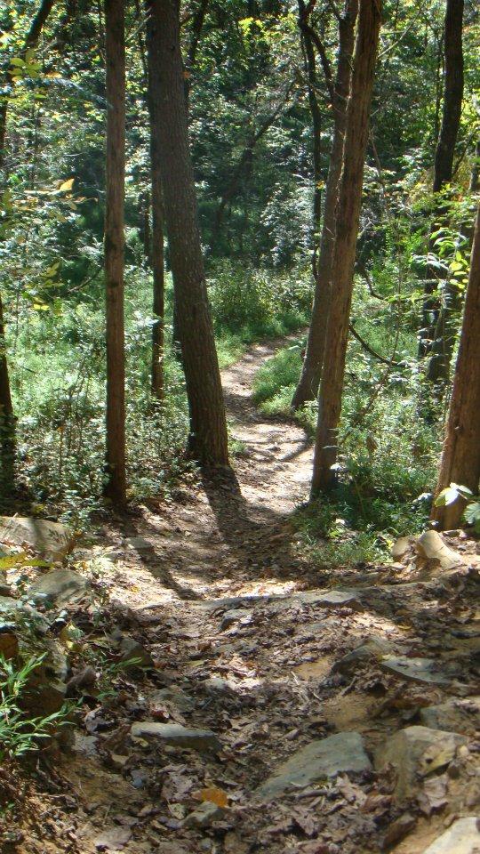 A winding dirt path through a wooded area, bordered by tall trees and lush greenery. The ground is covered with fallen leaves and rocky sections, indicating a natural hiking trail. Sunlight filters through the trees, creating a serene and inviting atmosphere. Deer Run mountain bike trail.
