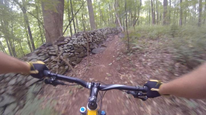 A cyclist's perspective while riding a mountain bike on a dirt trail through a lush green forest, showcasing a stone wall along one side of the path. The image captures the handlebars and arms of the rider as they navigate the terrain. Gunpowder Falls State Park mountain bike trail.