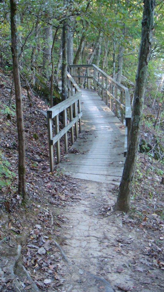 A wooden bridge winding through a forest path, surrounded by trees and autumn leaves. The path is narrow and covered with fallen leaves, leading into the distance. Trout Lily mountain bike trail.