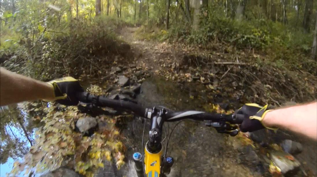 A view from the handlebars of a mountain bike, navigating a rocky trail with a small stream and fallen leaves, surrounded by lush green trees in a forested area. Gunpowder Falls State Park mountain bike trail.