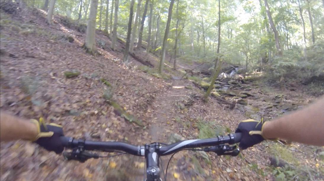 A cyclist's perspective on a wooded mountain biking trail, with hands gripping the handlebars visible in the foreground. The path is lined with autumn leaves and surrounded by trees, creating a natural, serene environment. Gunpowder Falls State Park mountain bike trail.