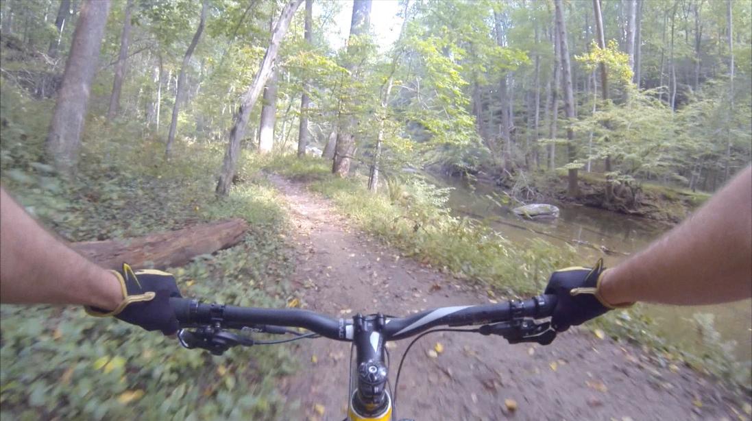 A view from the handlebars of a mountain bike riding along a dirt path in a forested area, with trees on either side and a stream visible to the right. The pathway is surrounded by greenery, and sun filters through the leaves, creating a bright and inviting atmosphere. Gunpowder Falls State Park mountain bike trail.
