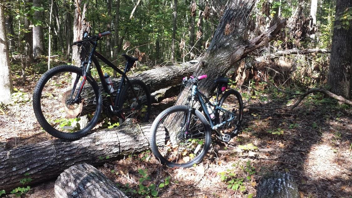 Two bicycles are parked on a fallen tree in a wooded area. The first bicycle is black and features a water bottle holder, while the second bicycle is teal with pink accents. Surrounding the bikes are leafy ground cover and trees in various stages of growth, illustrating a serene outdoor setting. Dauset Trails Nature Center mountain bike trail.