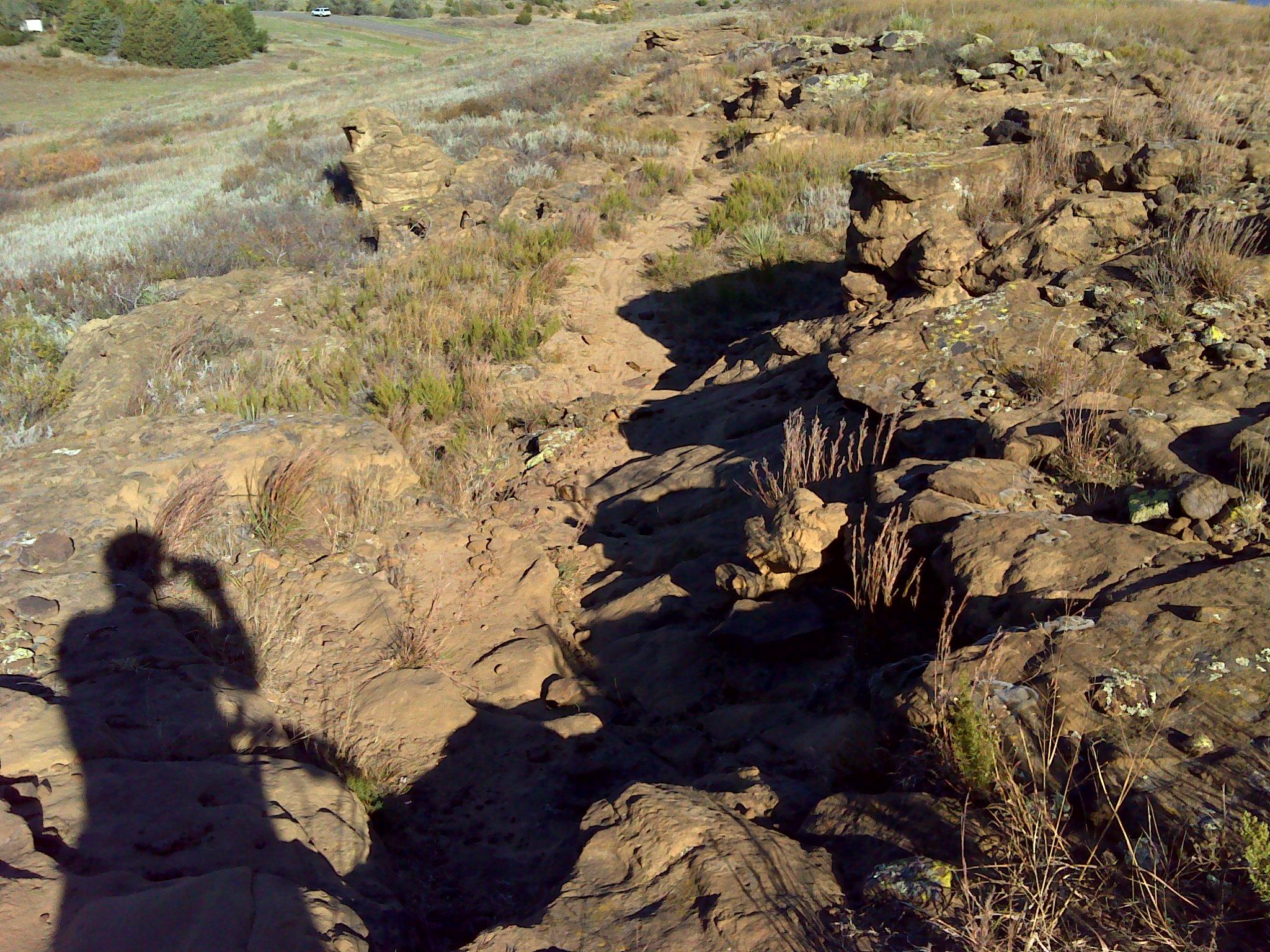 A rocky path winding through a natural landscape, showing a mix of boulders and patches of grass. In the foreground, the shadow of a person is visible, capturing the scene with a camera. In the background, out of focus, a vehicle can be seen on a distant road, surrounded by trees and open fields. Switchgrass mountain bike trail.