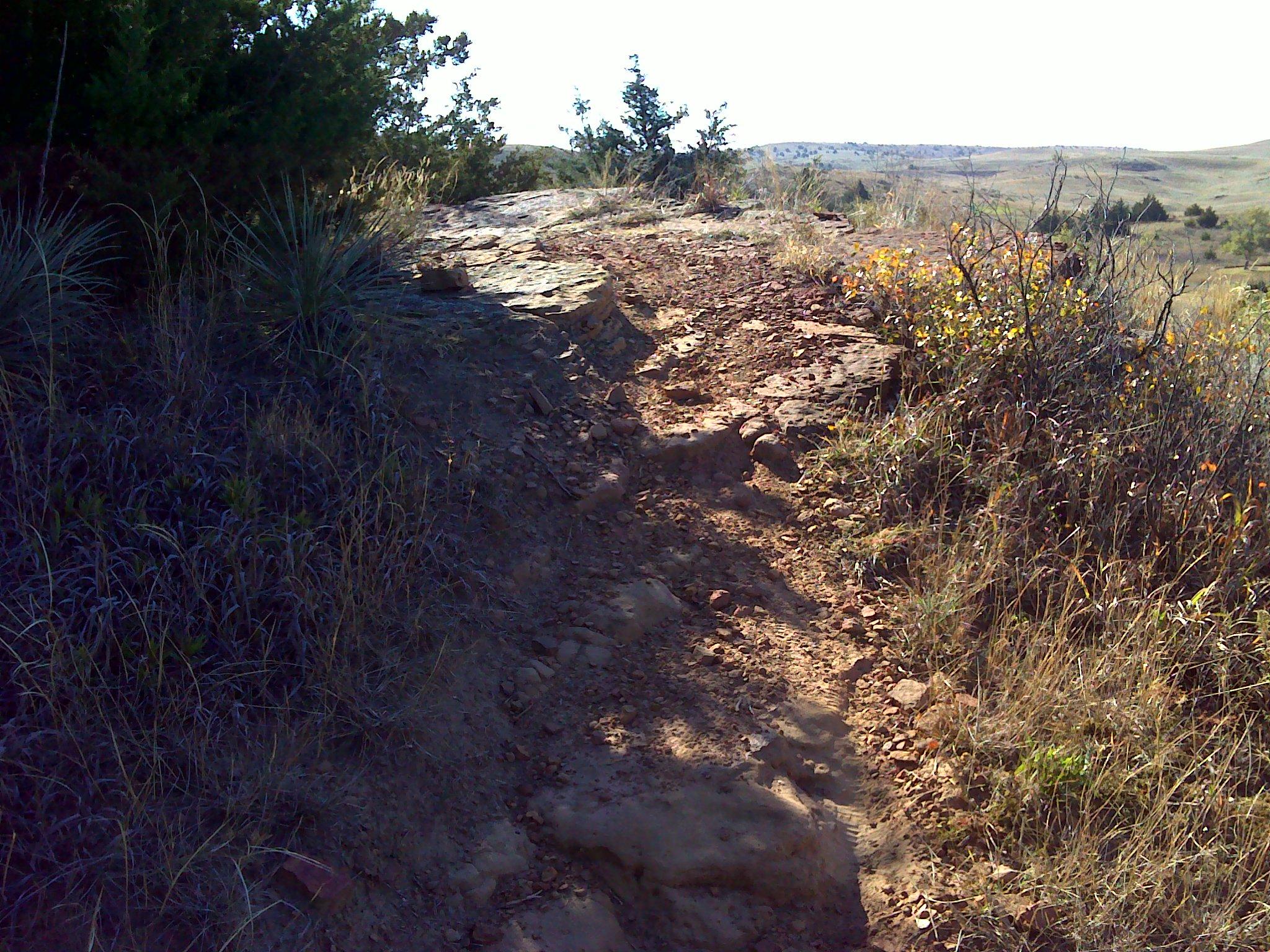 A rugged dirt trail winding through grassland, bordered by sparse vegetation and rocky outcrops, with a clear sky and distant hills in the background. Switchgrass mountain bike trail.