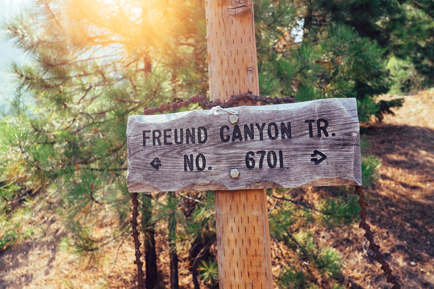 A wooden trail sign indicating "Freund Canyon Tr. No. 6701," with arrows pointing in two directions, surrounded by trees in a natural setting. The image is illuminated by soft sunlight. Freund Creek mountain bike trail.