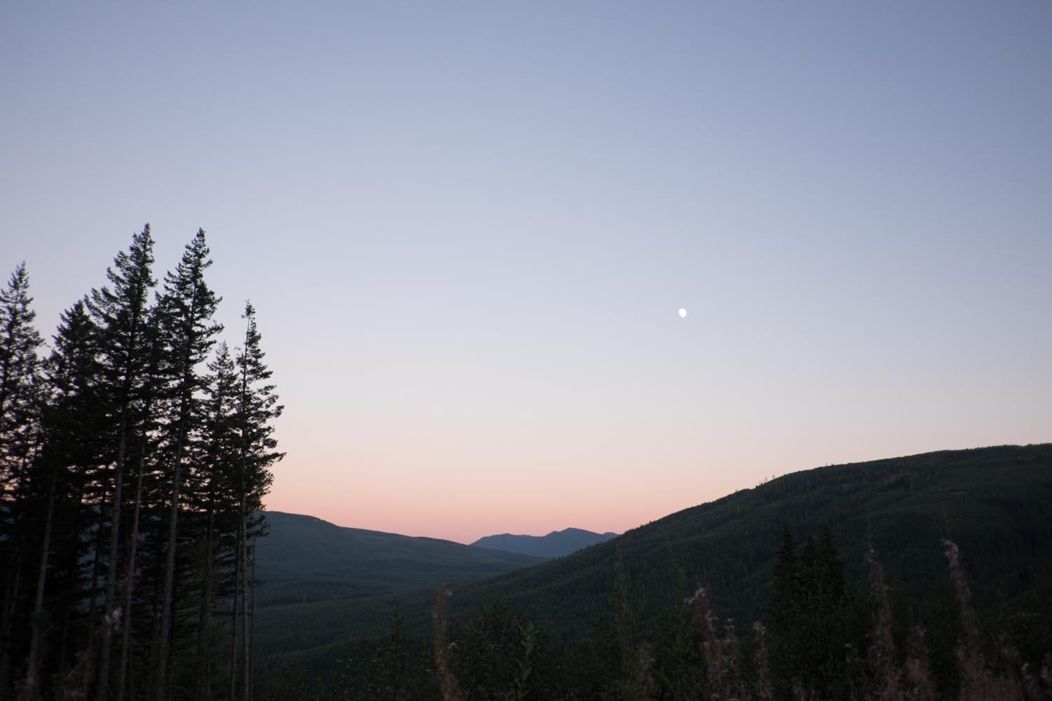Landscape featuring silhouettes of tall evergreen trees against a gradient sky at dusk, with a visible full moon and rolling hills in the background. Tiger Mountain mountain bike trail.
