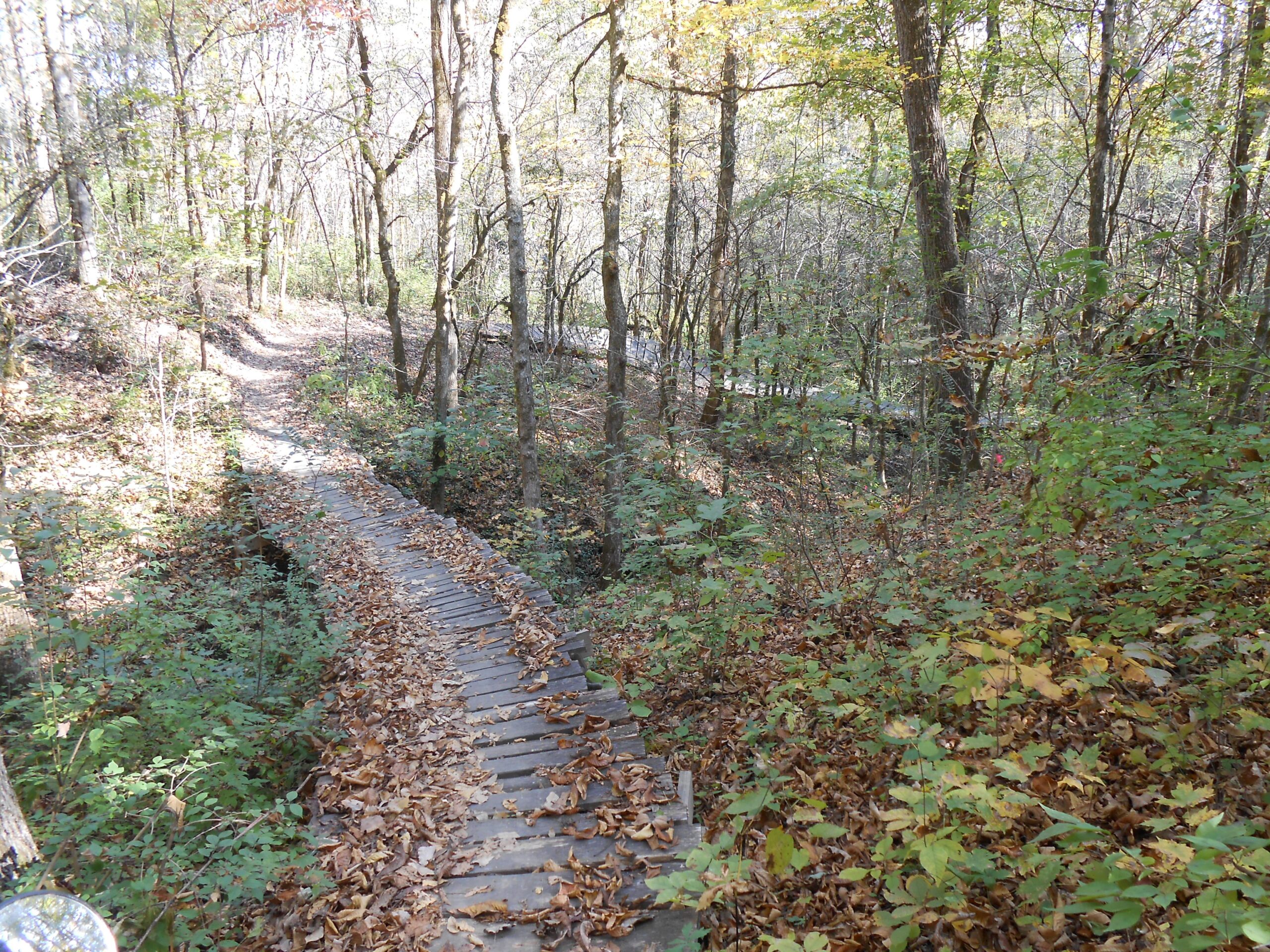 A winding wooden bridge leads through a forested area, covered in fallen leaves and surrounded by lush green foliage. Sunlight filters through the trees, illuminating the path as it gently curves away into the distance. AC/DC/MCR mountain bike trail.