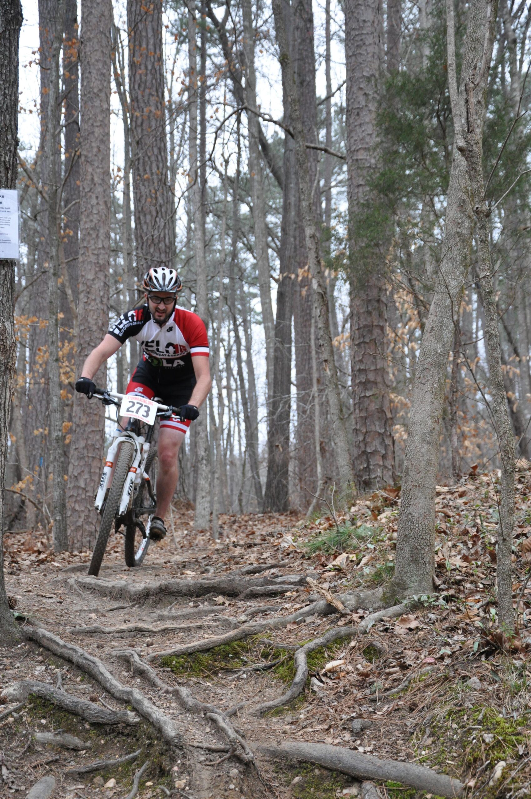 A mountain biker navigates a wooded trail filled with roots and fallen leaves, wearing a red and black cycling jersey with the number 273. The setting features tall trees and a gray sky, suggesting early spring or late autumn conditions. San-lee Park mountain bike trail.