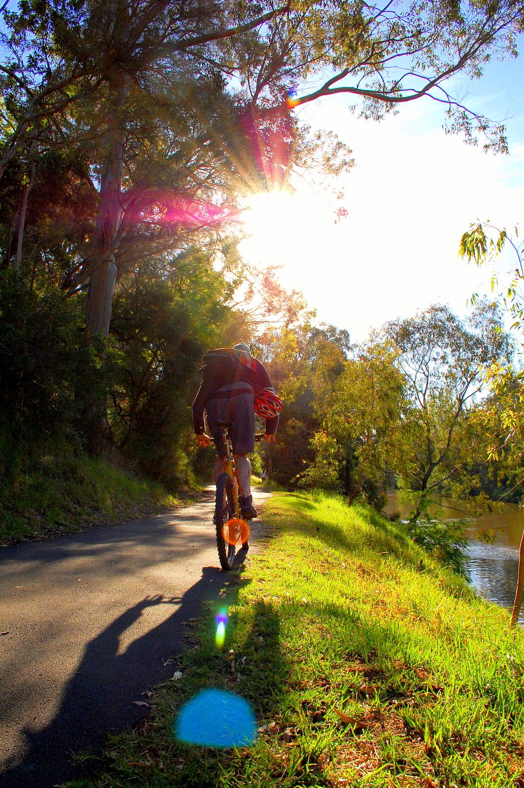 A cyclist riding along a scenic path surrounded by trees, with the sun shining brightly through the leaves, casting colorful lens flares. The cyclist, seen from behind, is pedaling on a smooth trail next to a calm waterway, creating a peaceful outdoor atmosphere. Yarra Trails mountain bike trail.