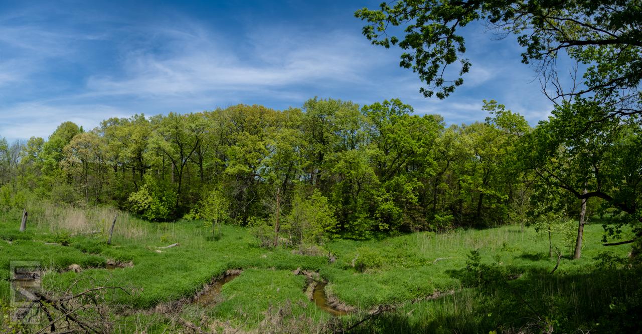 A lush, green landscape featuring a variety of trees and underbrush under a bright blue sky with wispy clouds. A small stream winds through the grassy area, adding to the serene and natural atmosphere of the scene.