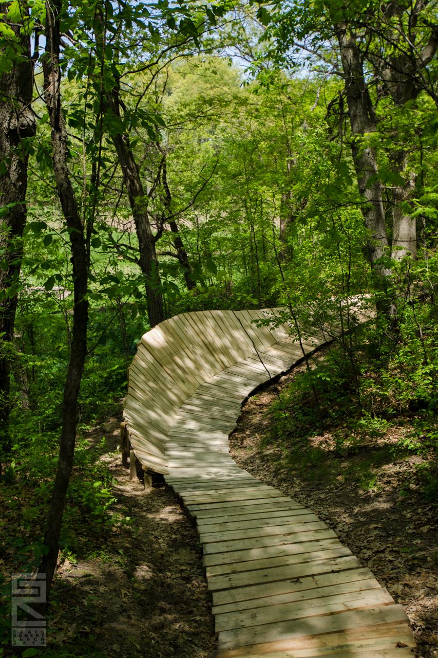 Curved wooden pathway winding through a lush, green forest, surrounded by trees and foliage under a clear blue sky.