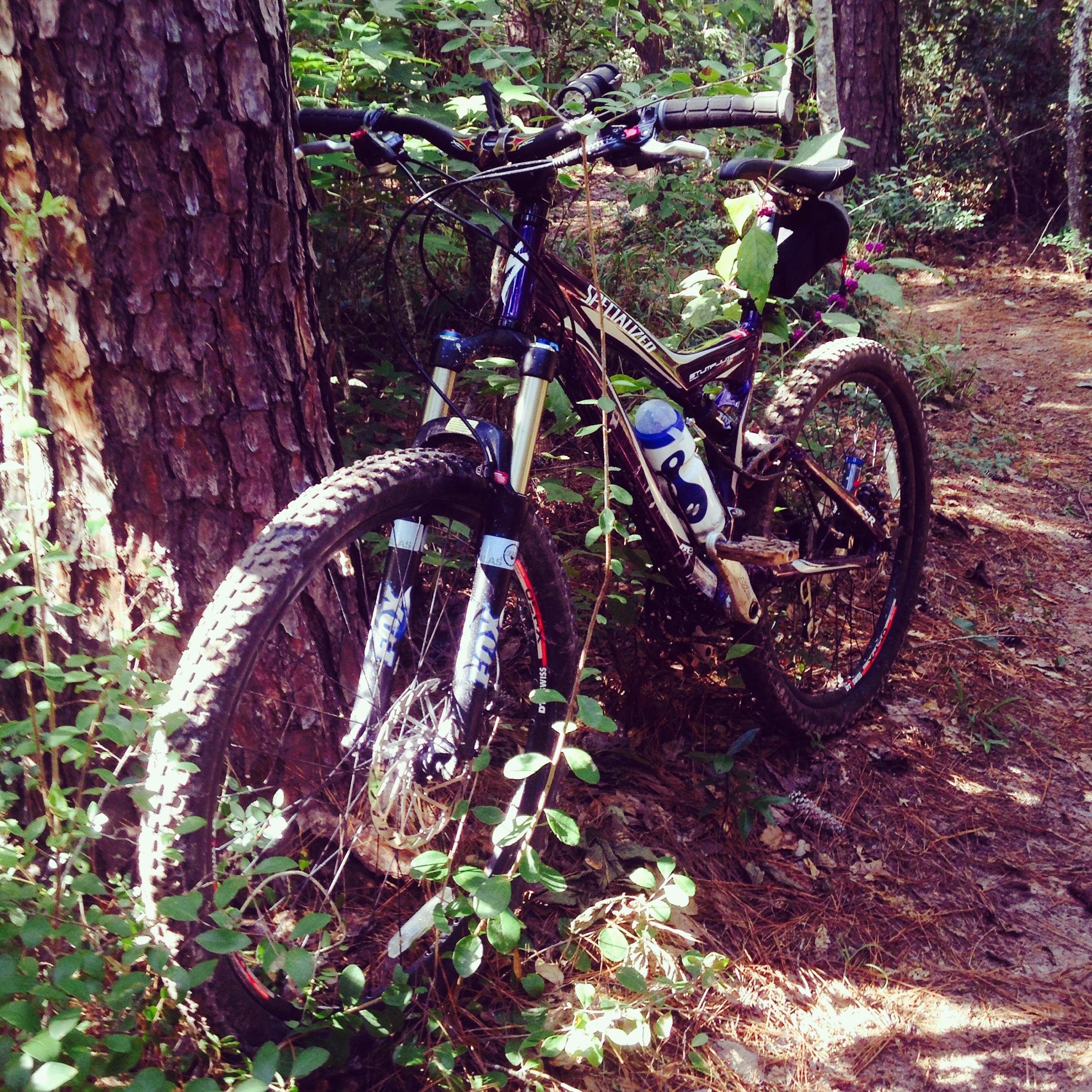 Specialized Stumpjumper FSR Expert: A mountain bike parked next to a tree in a wooded area, surrounded by greenery and sunlight filtering through the leaves.