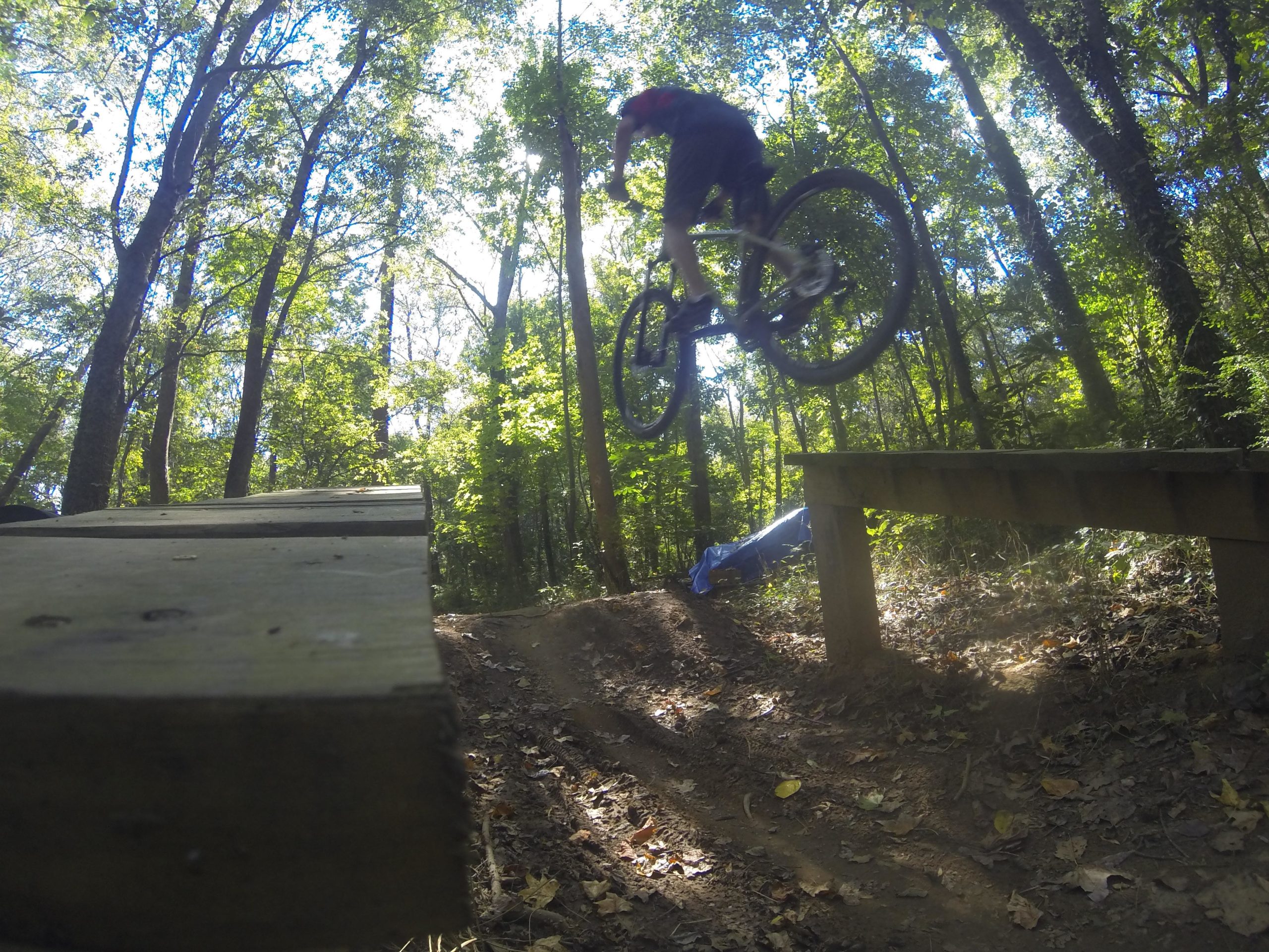 A mountain biker jumps over a wooden ramp in a forested area, with sunlight filtering through the trees in the background. Back Yard Trails mountain bike trail.