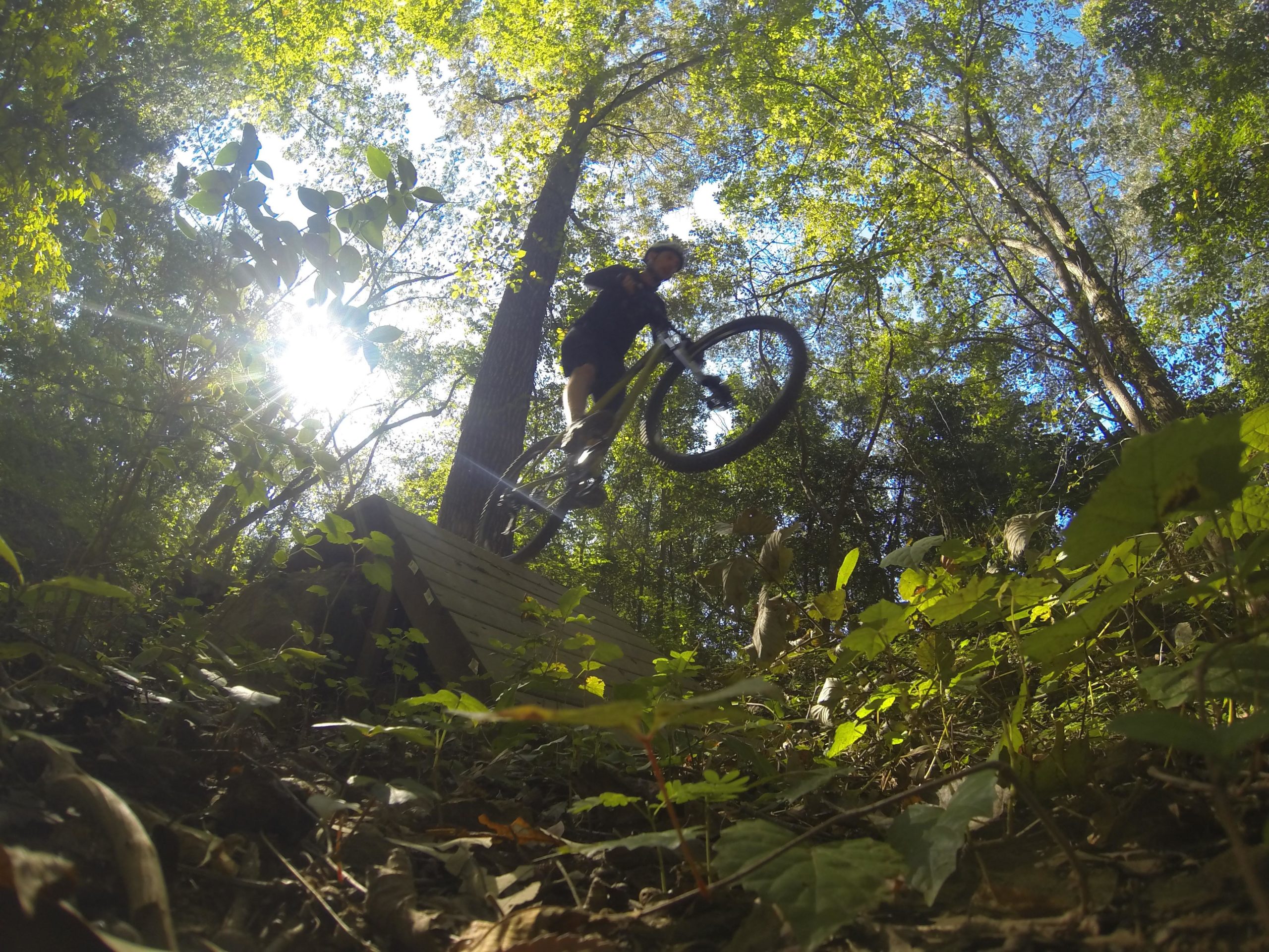 A mountain biker is captured mid-air as they jump off a small wooden ramp in a forested area, surrounded by vibrant green foliage and tall trees. Sunlight filters through the trees, creating a bright and dynamic atmosphere. Back Yard Trails mountain bike trail.