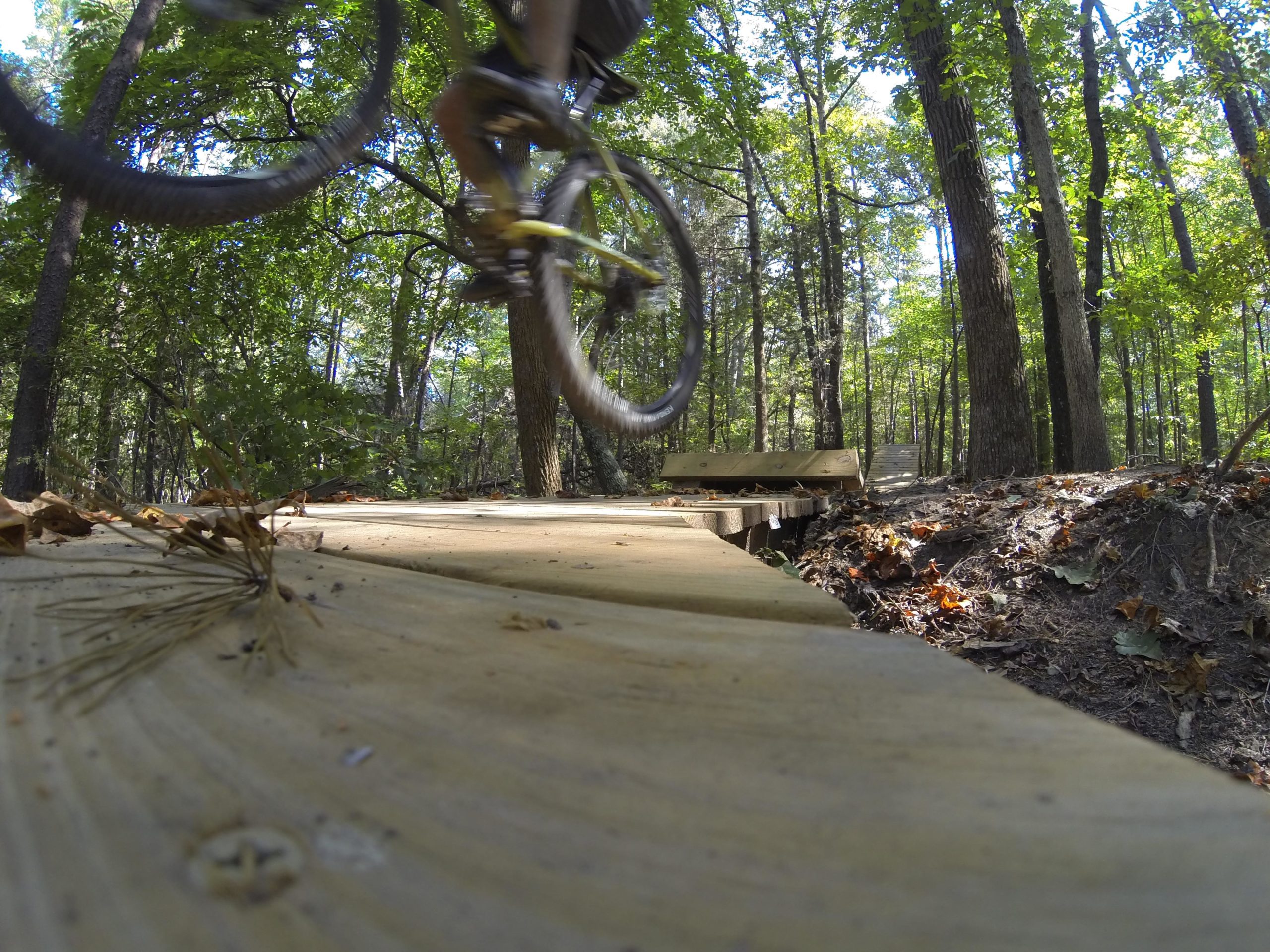 A mountain biker in mid-air jumps over a wooden bridge on a forest trail, surrounded by tall trees and dappled sunlight filtering through the leaves. Pine needles and fallen leaves are visible on the ground, adding to the natural setting. Colonel Francis Beatty Park mountain bike trail.