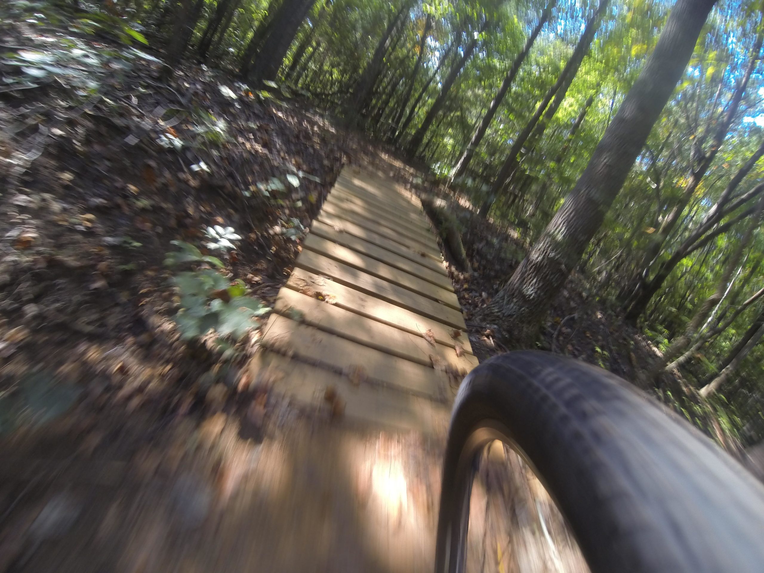 A close-up view of a mountain bike tire on a wooden trail path, surrounded by lush green foliage and trees, capturing a sense of speed and adventure in a forest setting. Colonel Francis Beatty Park mountain bike trail.