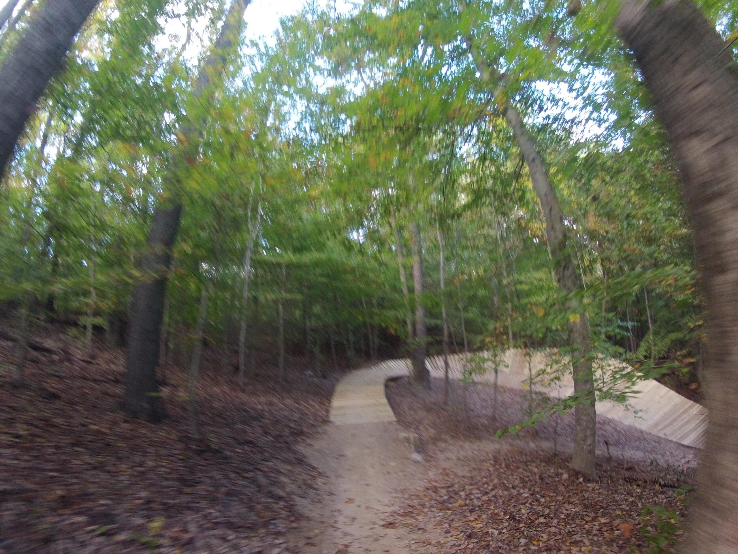 A winding path through a wooded area, surrounded by tall trees with green leaves. The ground is covered in fallen leaves, and a portion of the path features a wooden structure, suggesting a biking or walking trail in a natural setting. The image captures a sense of movement and exploration in the forest. Meadowood mountain bike trail.