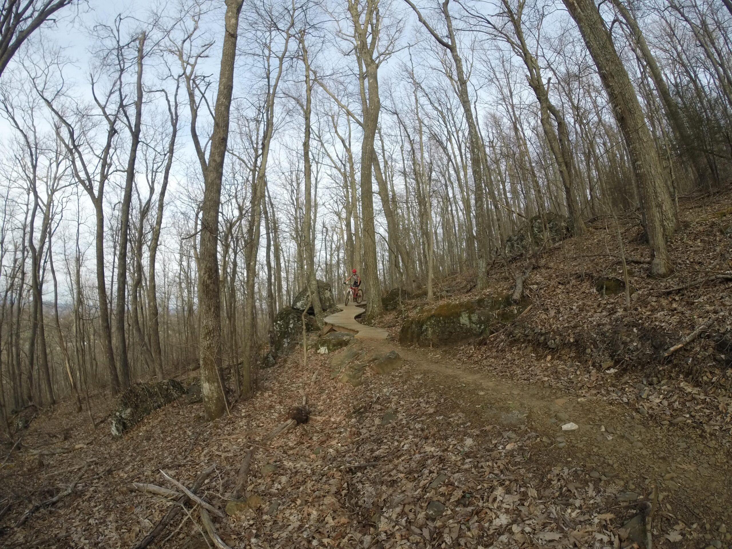 A mountain biker riding along a narrow dirt trail through a wooded area with bare trees and scattered rocks, set against a backdrop of a cloudy sky. The ground is covered with fallen leaves, indicating a late autumn or early winter setting. Rocky Knob Park mountain bike trail.