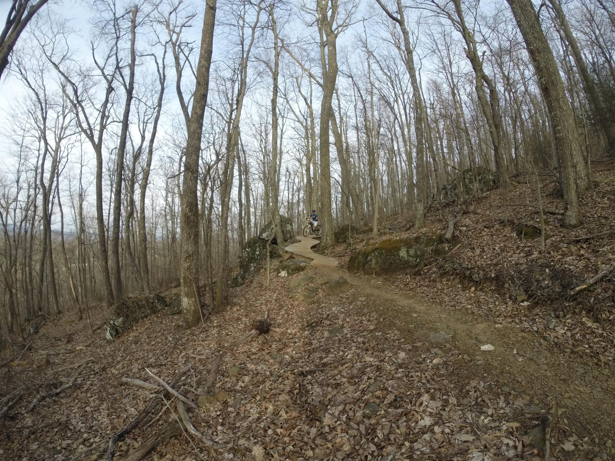 A cyclist riding along a winding dirt trail surrounded by bare trees and rocks in a wooded area during early spring. Rocky Knob Park mountain bike trail.