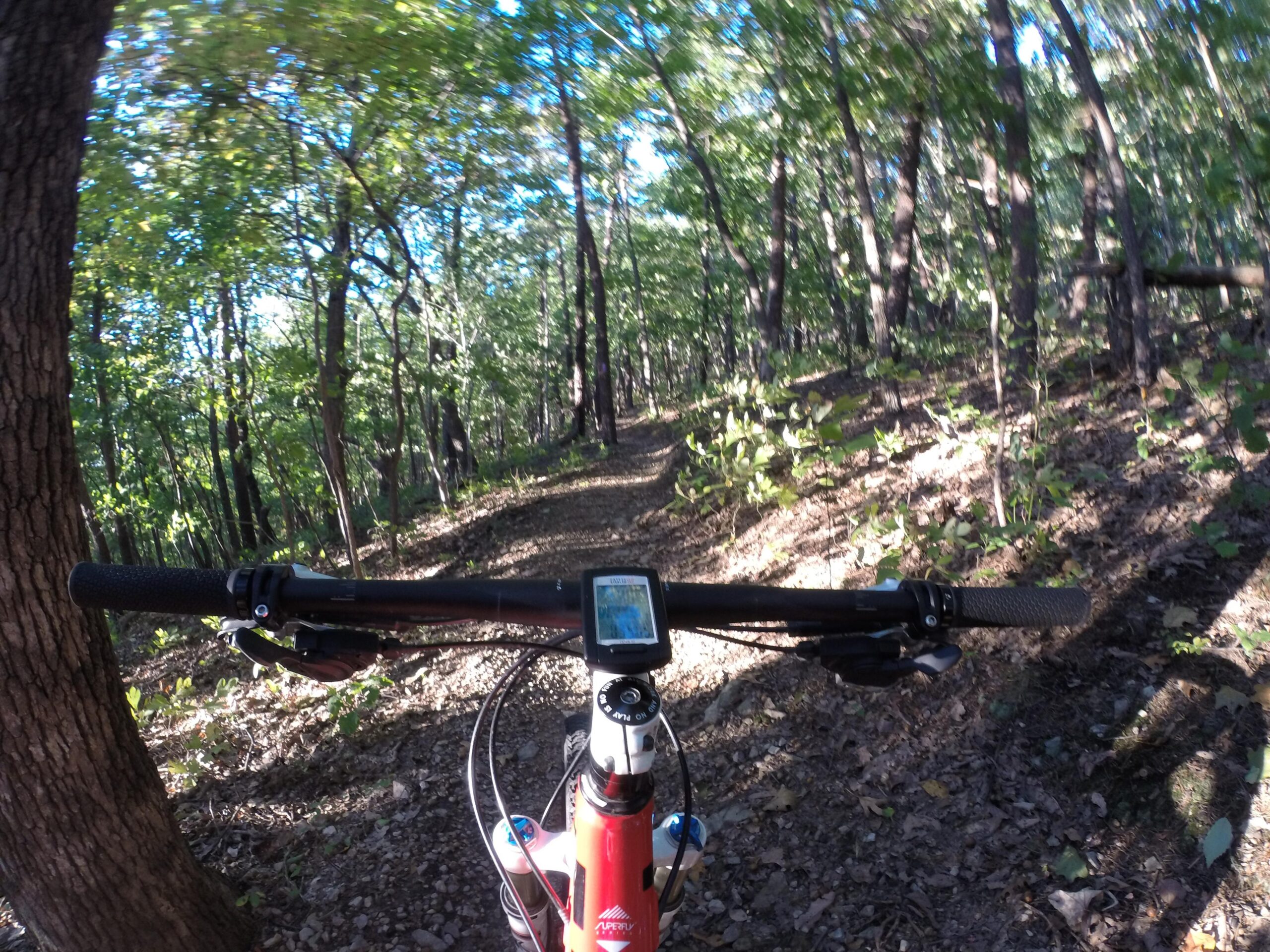 Trek Superfly 8: Alt text: A mountain bike handlebar view on a winding trail surrounded by lush green trees and sunlight filtering through the leaves.