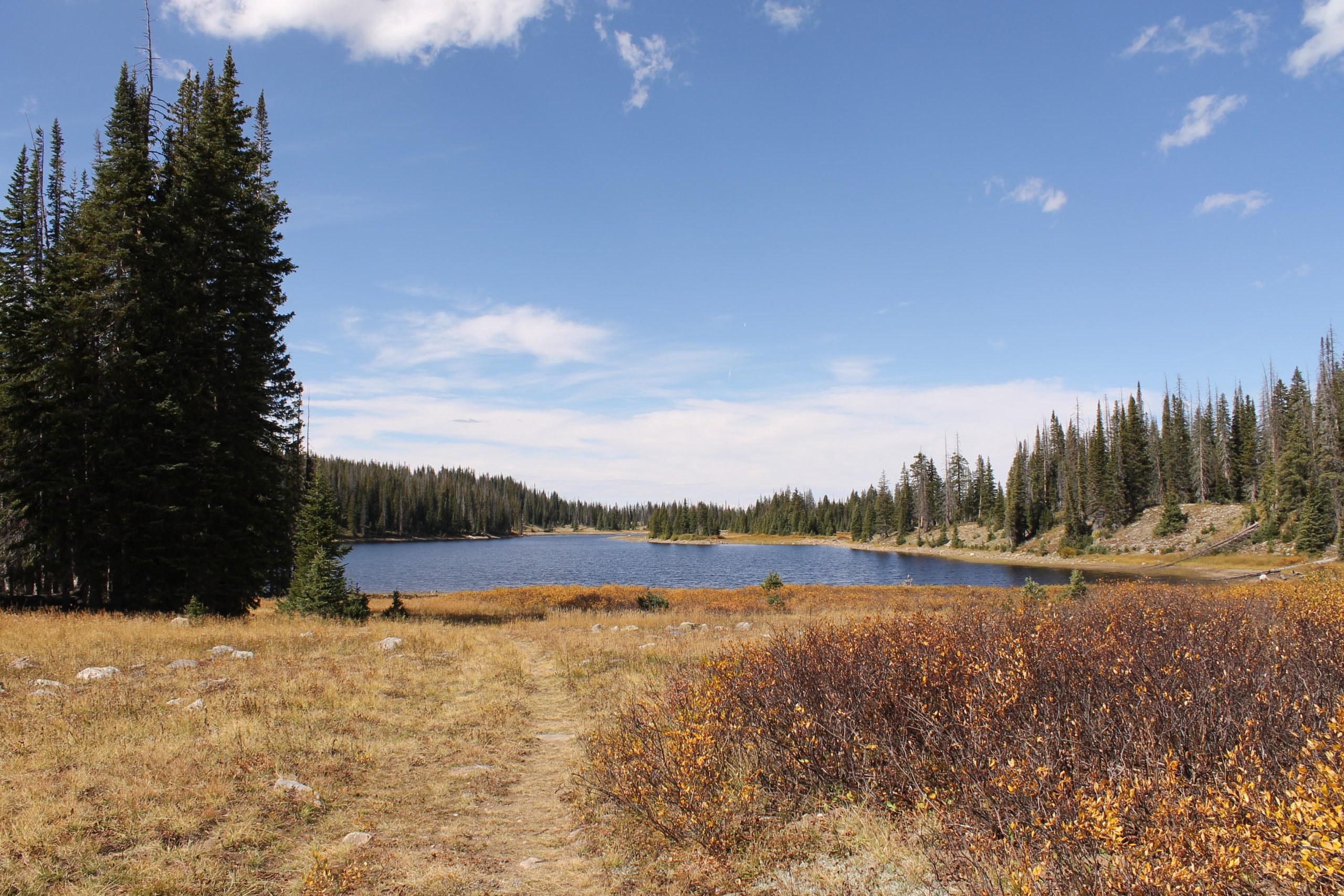 A scenic view of a tranquil lake surrounded by evergreen trees under a clear blue sky. In the foreground, there is a grassy area with patches of orange foliage, leading to a dirt path that runs alongside the water. The landscape features rolling hills and a gentle shoreline, creating a serene atmosphere. Fish Creek Falls mountain bike trail.