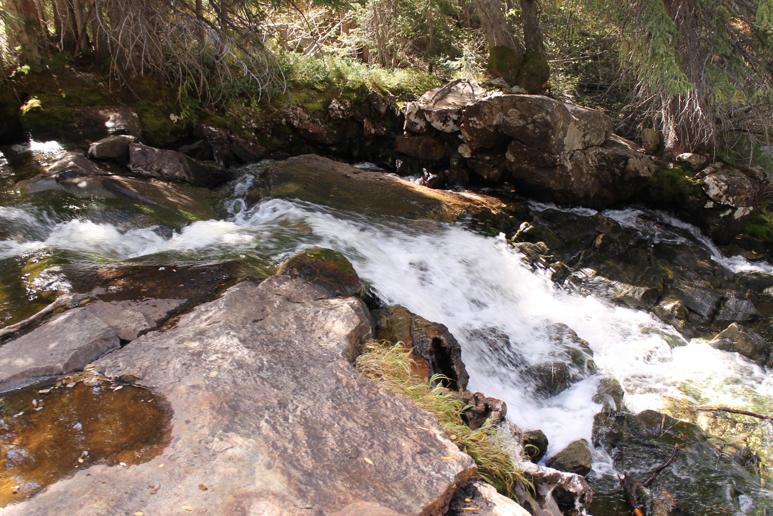 A serene stream flowing over rocks in a forested area, with clear water cascading gently and sunlight filtering through the trees. Fish Creek Falls mountain bike trail.