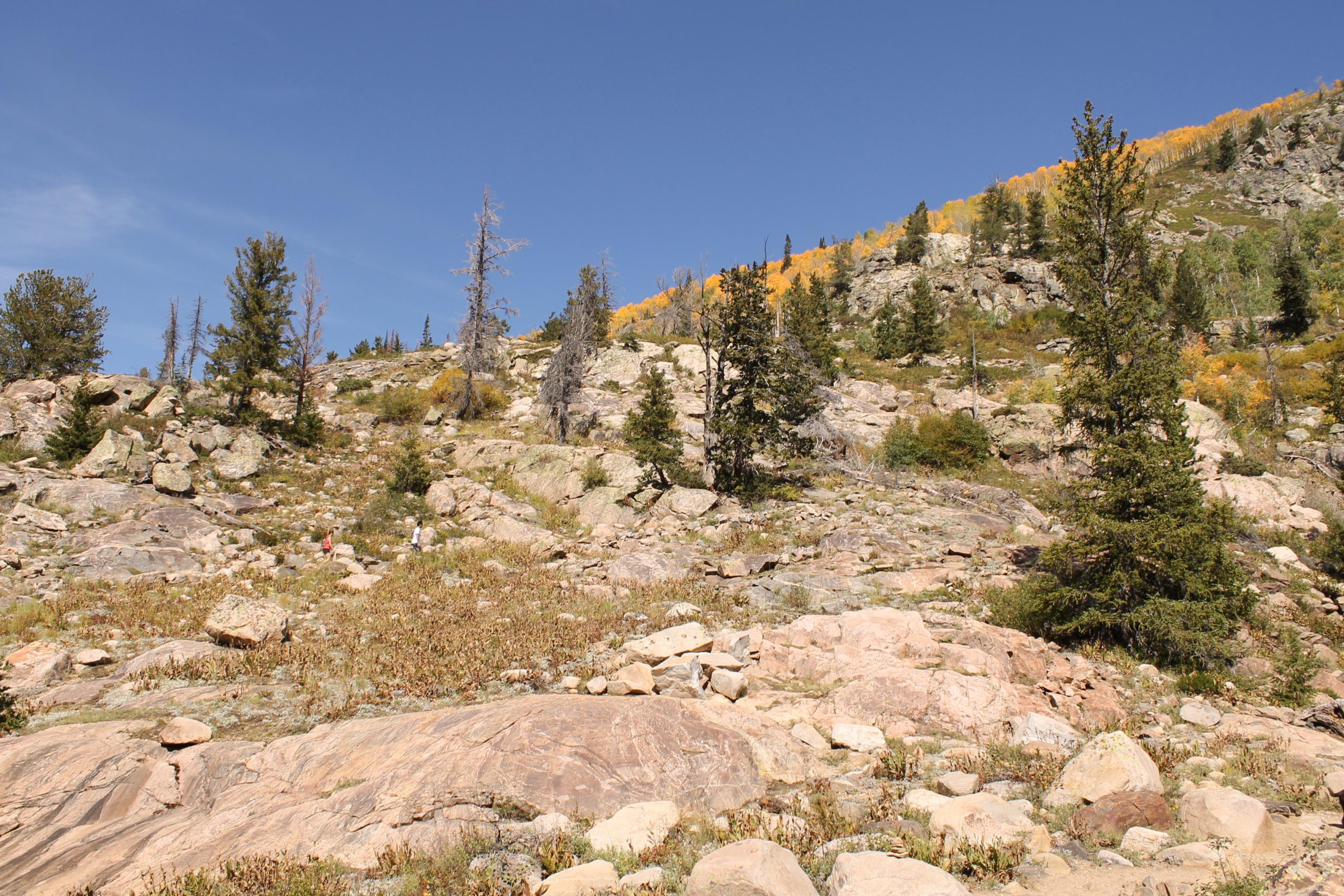 A rocky hillside dotted with green trees and patches of grass under a clear blue sky. Two people are walking along the slope, surrounded by large boulders and sparse vegetation. In the background, a line of trees shows autumn colors. Fish Creek Falls mountain bike trail.