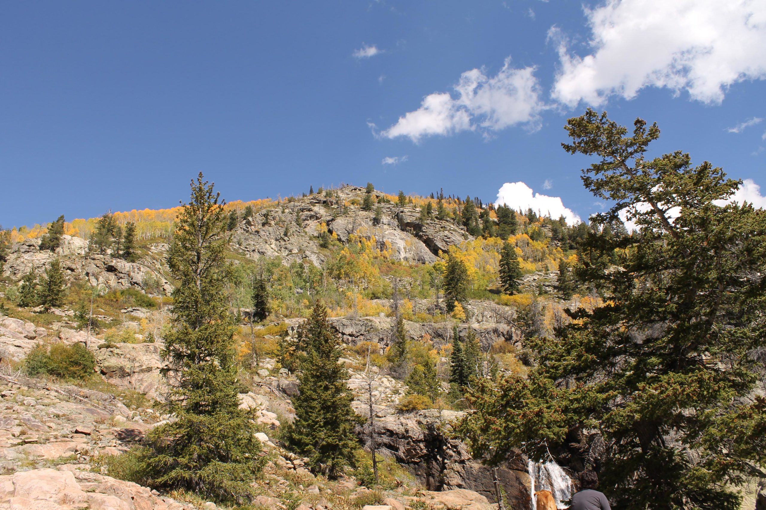 A scenic view of a rocky mountainside with patches of evergreen trees and autumn foliage in vibrant yellow. The blue sky above features scattered white clouds. In the foreground, a few rocky outcrops are visible, adding texture to the landscape. Fish Creek Falls mountain bike trail.