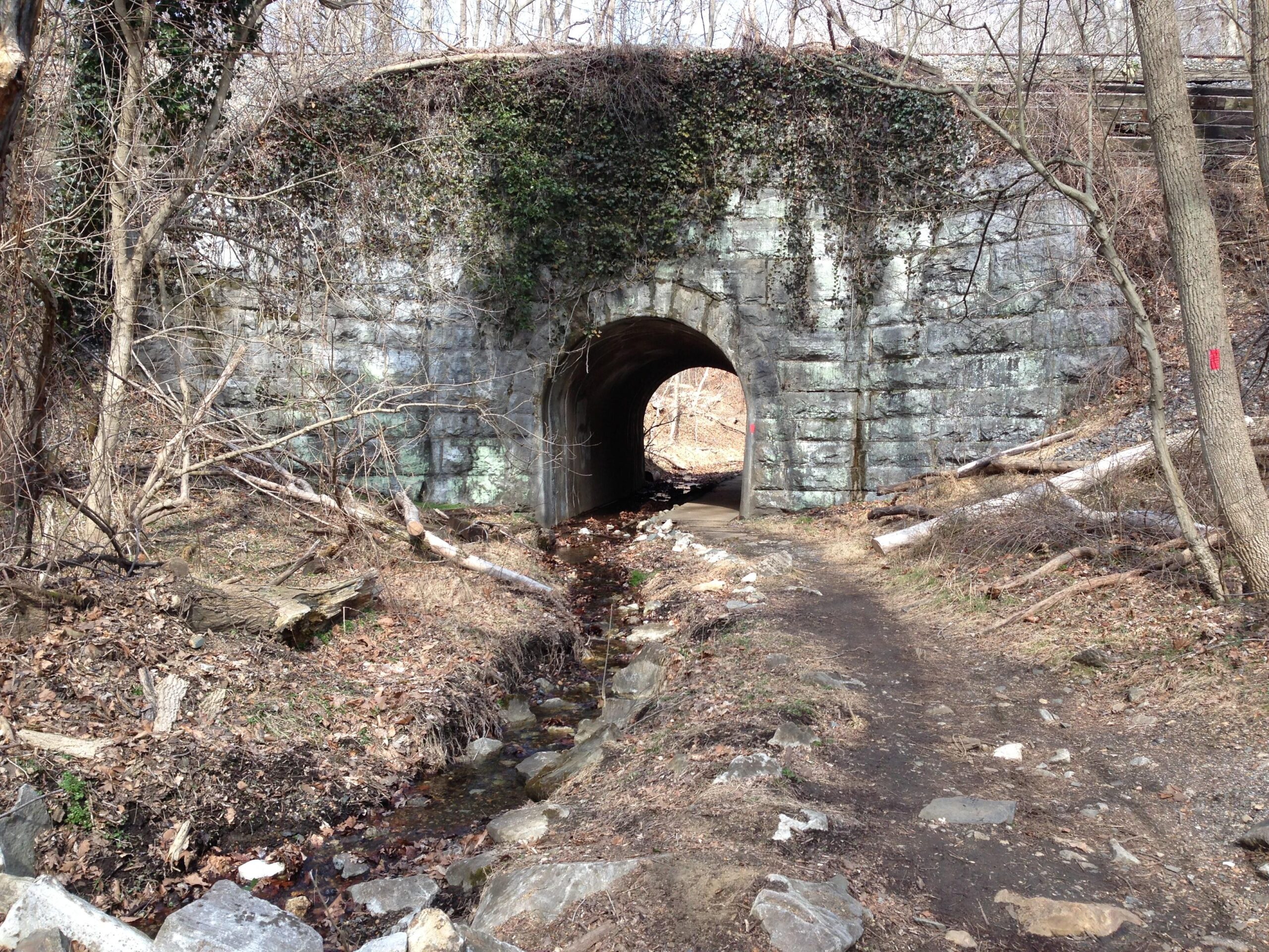 A stone tunnel partially covered with greenery, set in a wooded area with bare trees and scattered leaves. A narrow path leads to the tunnel entrance, with a small stream running beside it. The surrounding landscape features rocks, fallen branches, and trail markers. Patapsco Valley State Park (Avalon Area) mountain bike trail.