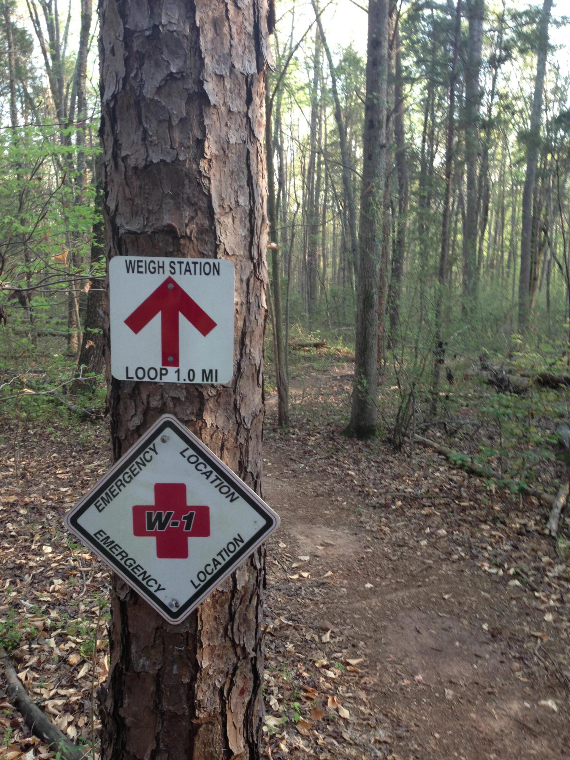 A close-up view of a tree in a wooded area, featuring two signs attached to its trunk. The top sign, marked "WEIGH STATION," has a red arrow pointing upward and indicates a 1.0-mile loop. Below it, a diamond-shaped sign labeled "W-1" indicates an emergency location, featuring a red cross symbol. The forest path leads off into the background with scattered leaves on the ground. USNWC mountain bike trail.