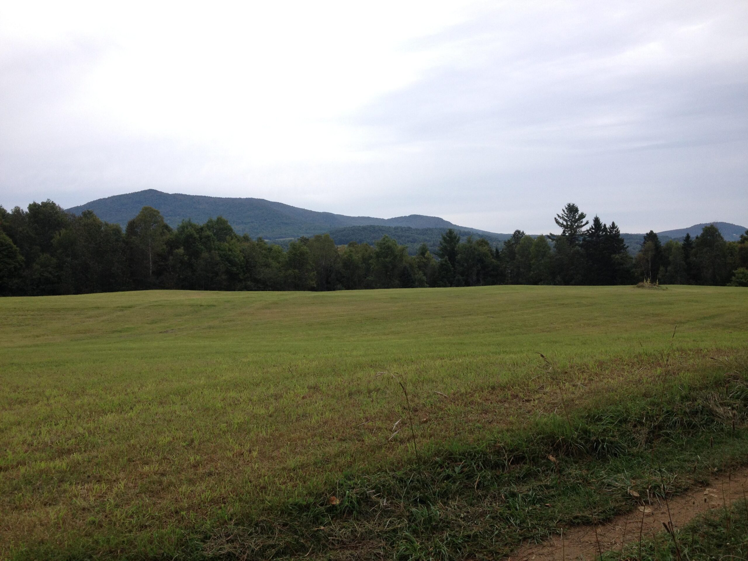 A serene landscape featuring a vast, green field in the foreground with gentle rolling hills in the background. The sky is overcast, creating a soft, muted atmosphere. A mix of trees lines the horizon, adding to the natural beauty of the scene. Kingdom Trails mountain bike trail.