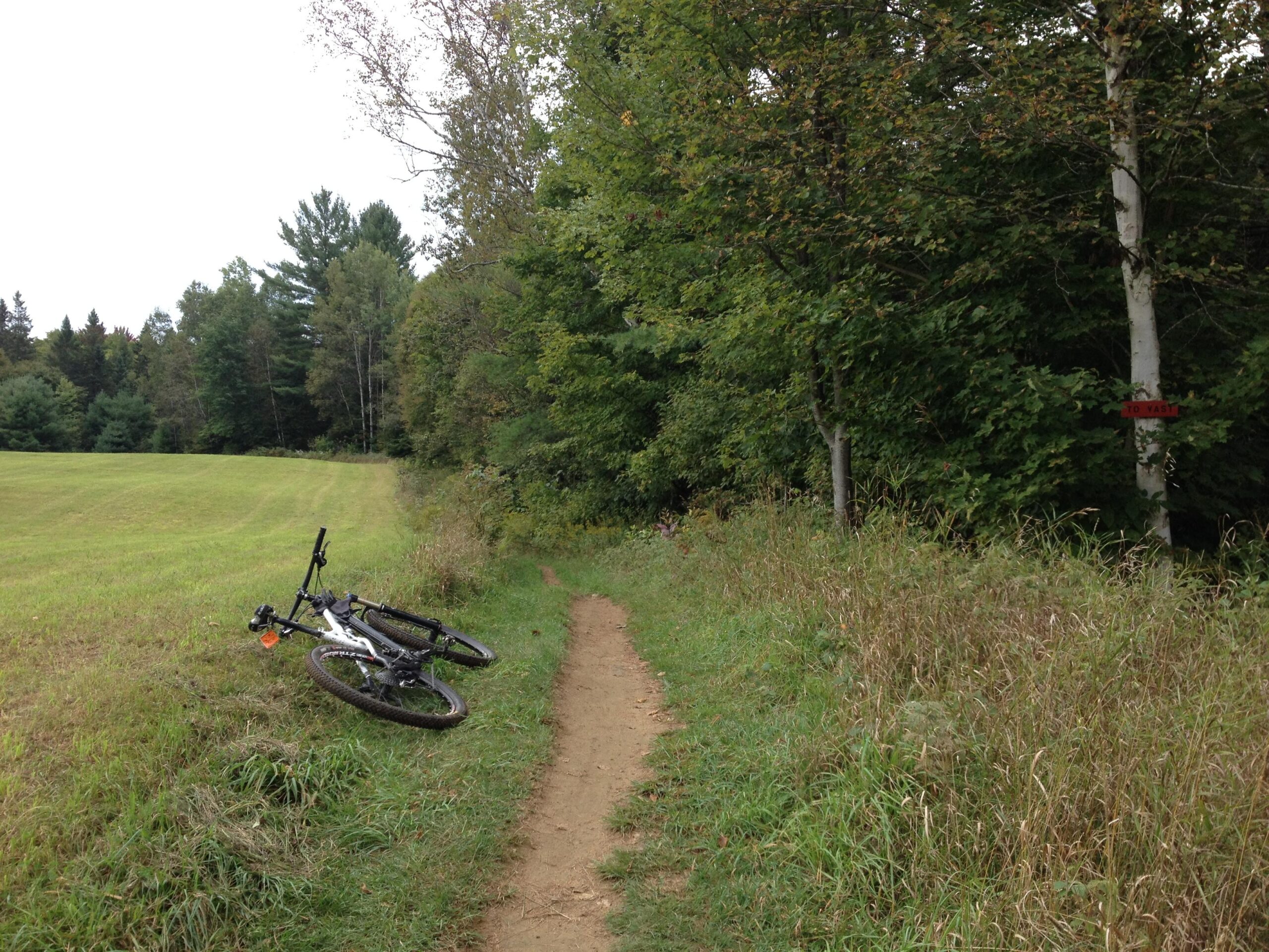 A mountain bike resting on its side beside a dirt path that winds through a grassy area and forested landscape. A red sign labeled "TO YAST" is visible on a tree near the edge of the path. The scene is set on a cloudy day, showcasing a mix of trees and open field. Kingdom Trails mountain bike trail.