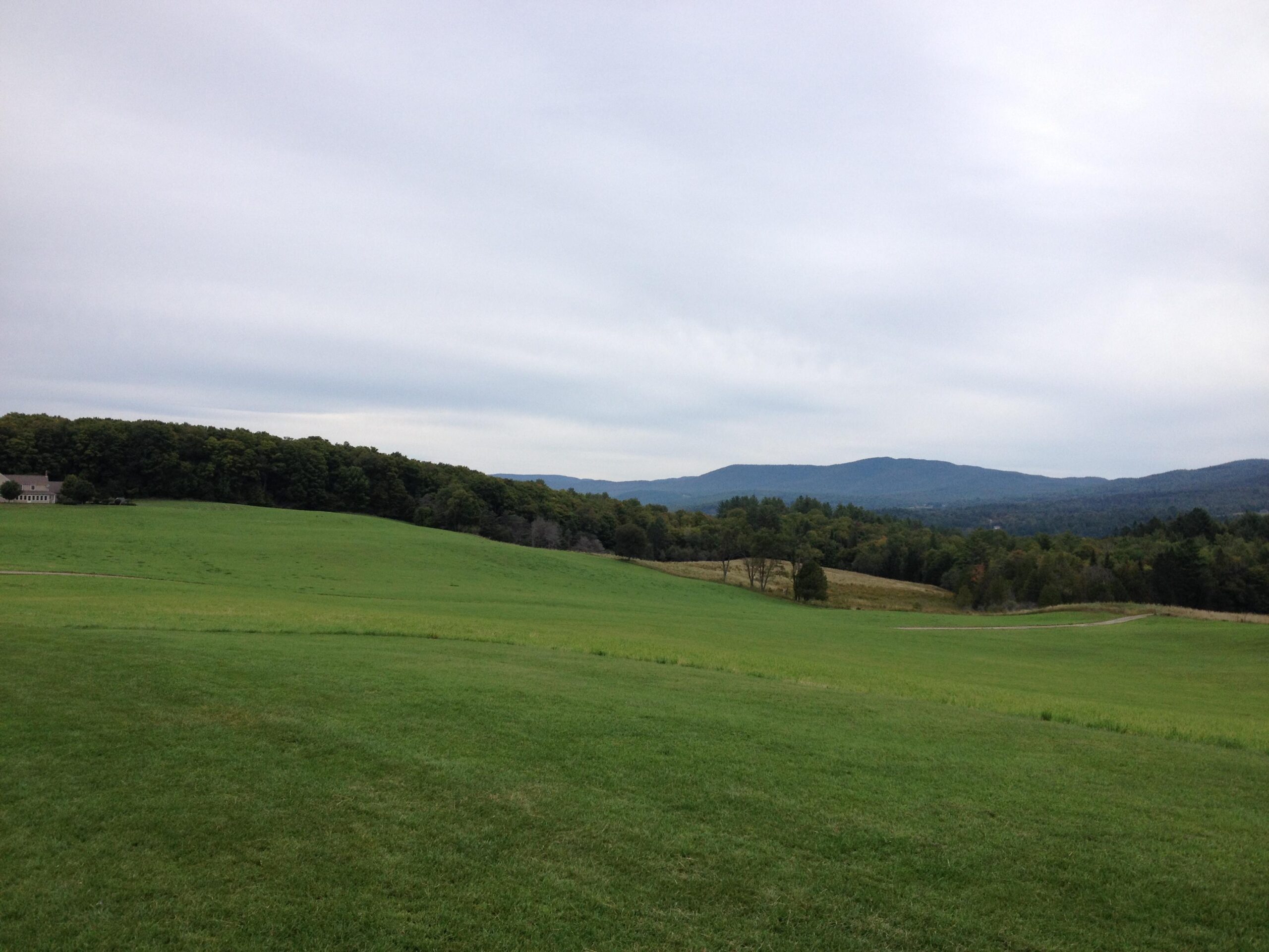 A scenic view of a grassy field with rolling hills in the background, bordered by a tree line. The sky is overcast, creating a calm and serene atmosphere. In the distance, gentle mountains rise, adding to the picturesque landscape. Kingdom Trails mountain bike trail.