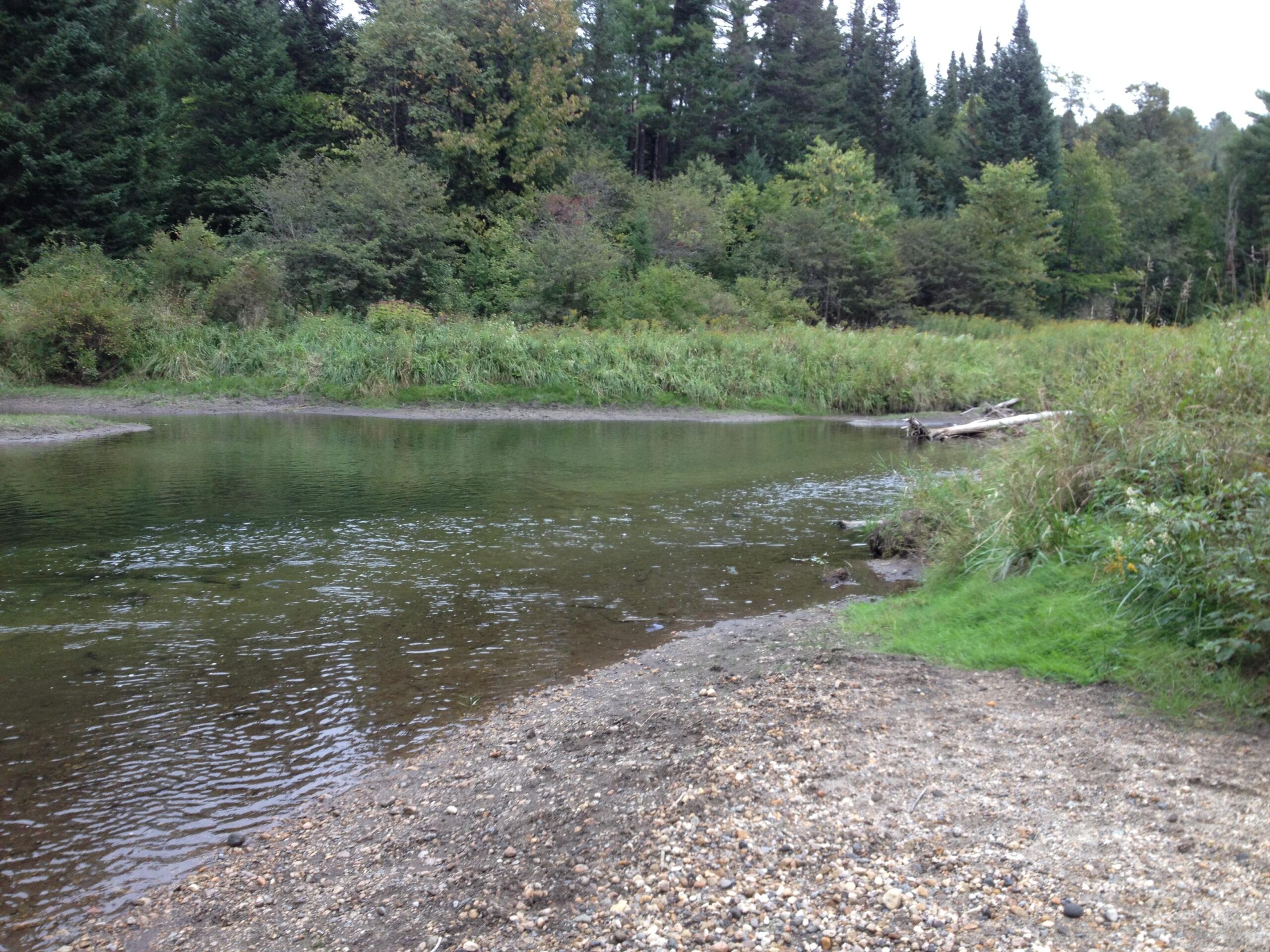 A serene riverbank scene featuring a calm body of water surrounded by lush green foliage and trees. The shore is lined with pebbles and patches of grass, while reflections of the surrounding landscape can be seen in the water. Kingdom Trails mountain bike trail.