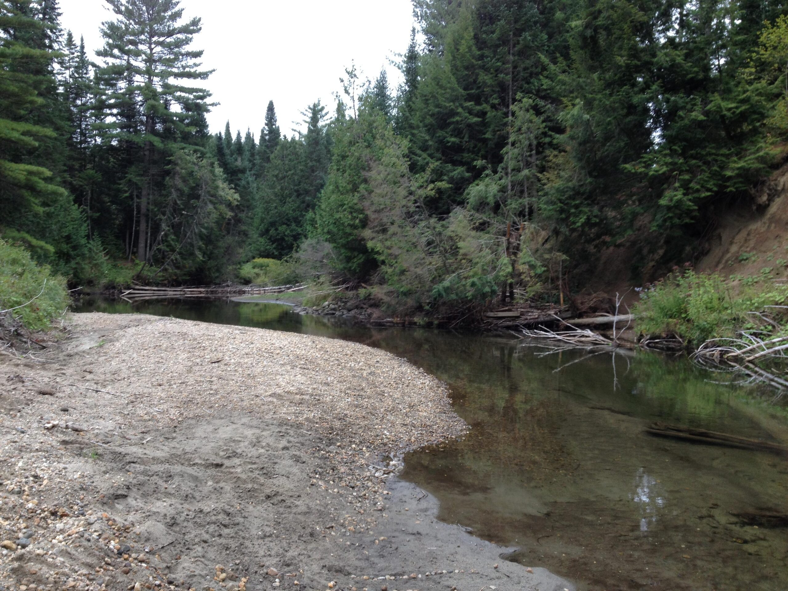 A serene riverbank scene featuring a calm, shallow river surrounded by lush green trees. The shoreline consists of a mix of sand and small pebbles, with fallen branches and foliage visible. The atmosphere is tranquil, with overcast skies in the background. Kingdom Trails mountain bike trail.