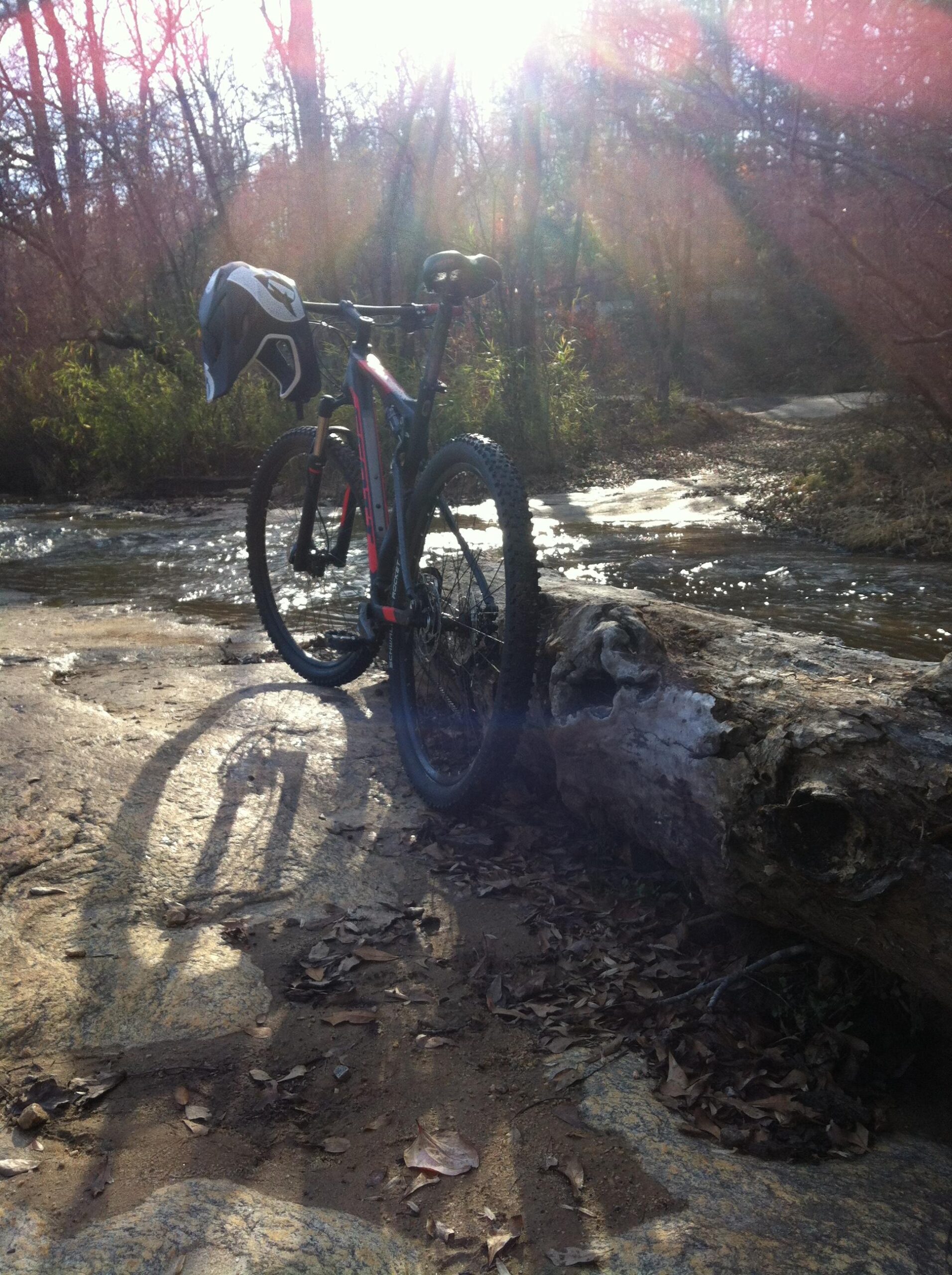 Scott Spark 960: A mountain bike with a helmet resting on the handlebars is positioned on a rocky riverbank, surrounded by trees and vegetation. Sunlight filters through the branches, creating a warm, glowing atmosphere. A gentle stream flows in the background, reflecting the sunlight.