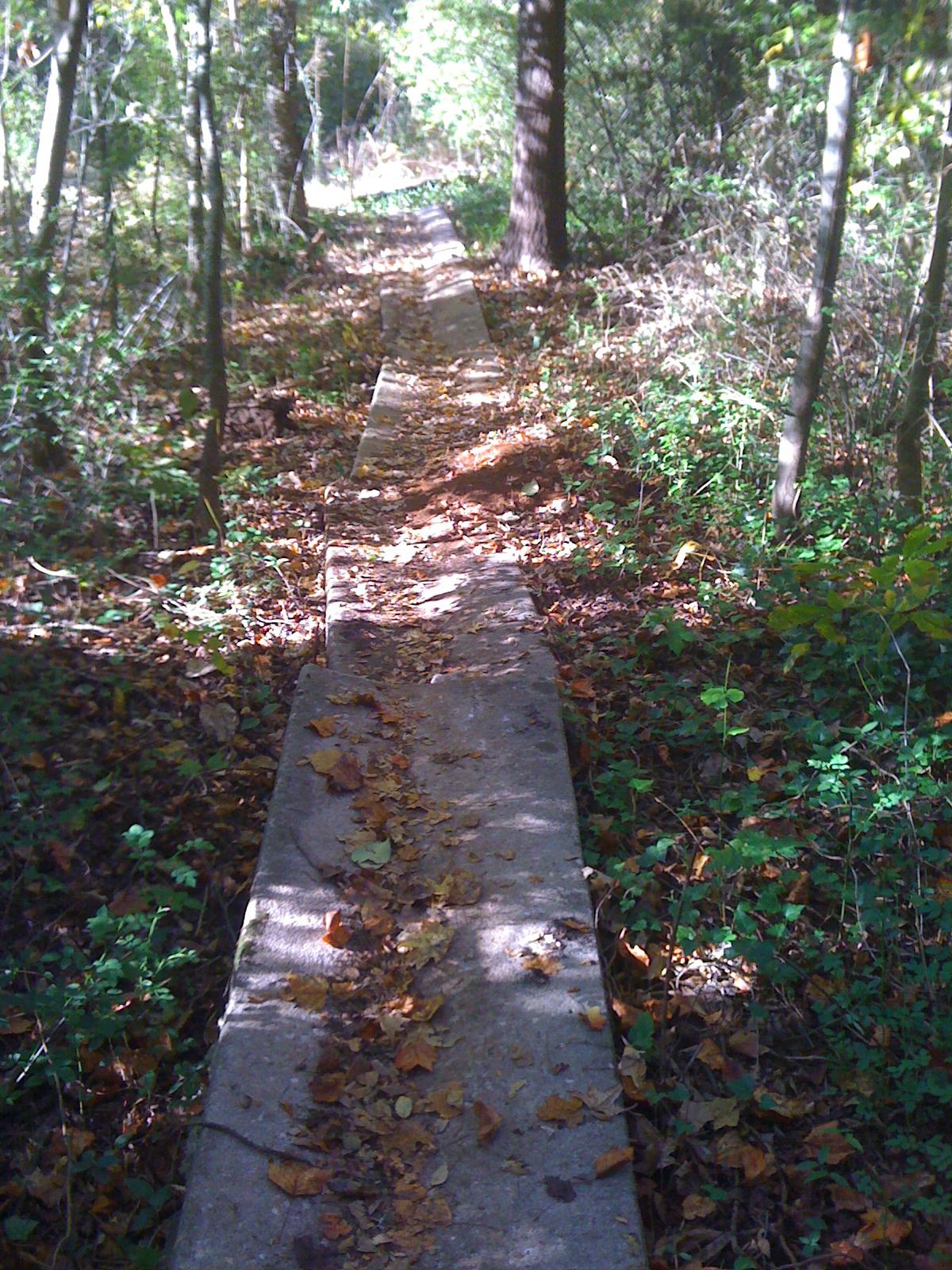 A narrow concrete path winding through a forest, lined with fallen leaves and surrounded by greenery. Sunlight filters through the trees, casting dappled shadows on the path. Back Yard Trails mountain bike trail.
