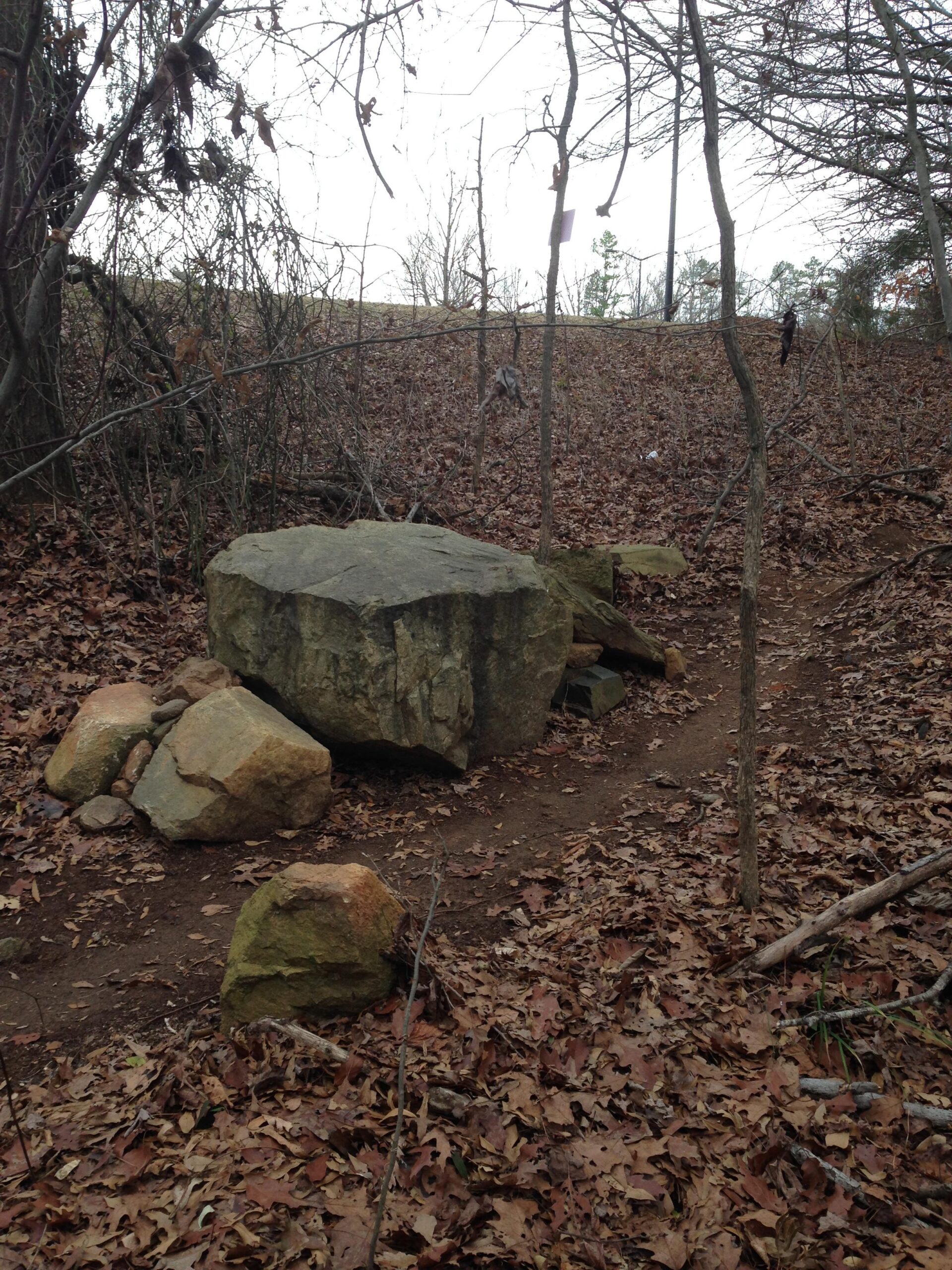 A large rock surrounded by smaller stones sits along a dirt trail in a wooded area covered with fallen leaves. Bare trees and sparse foliage are visible in the background, indicating a late autumn or winter setting. Park-rd. Short Trails. mountain bike trail.