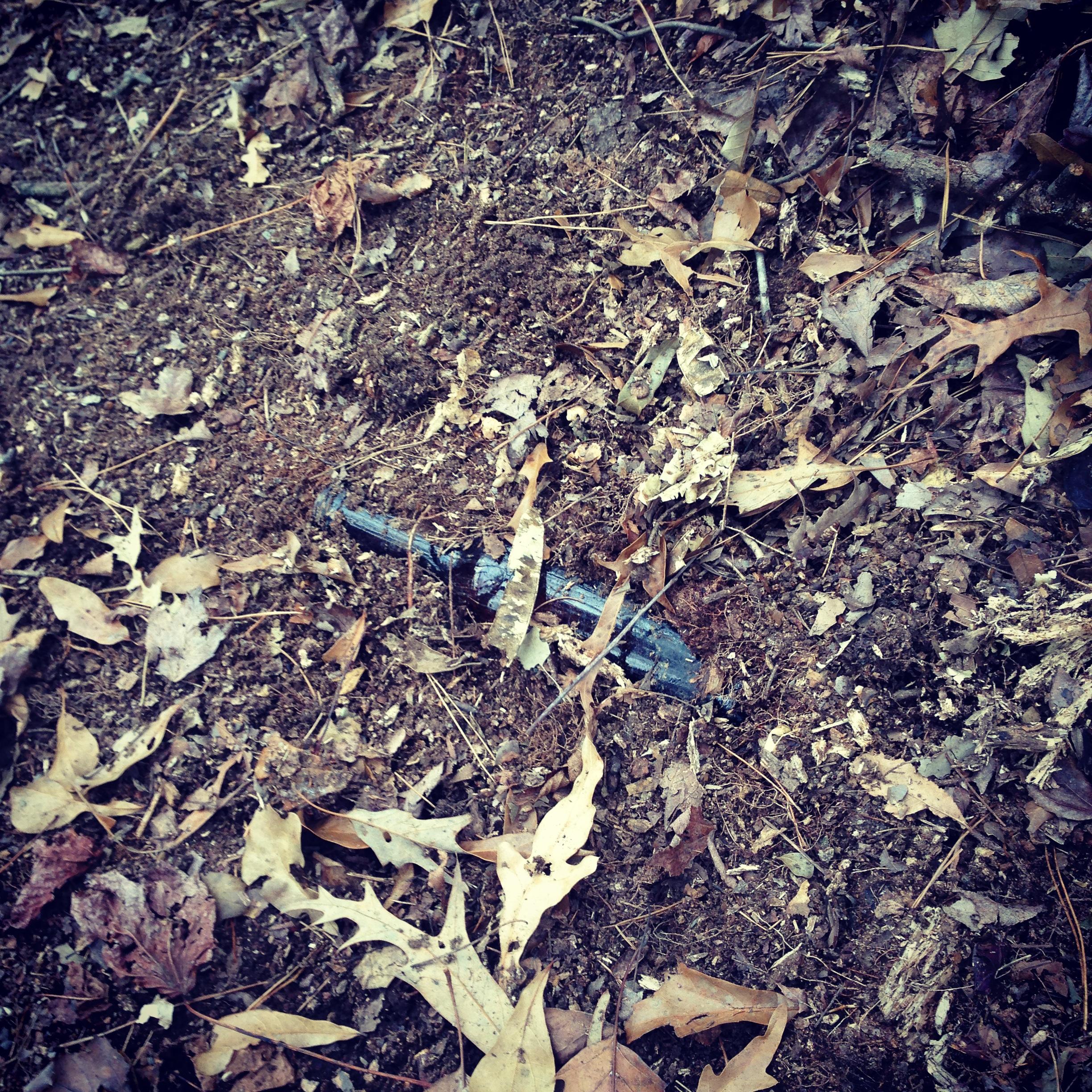 A close-up view of a patch of soil covered with scattered dry leaves, featuring a partially buried object that appears to be a dark, cylindrical item. Park-rd. Short Trails. mountain bike trail.