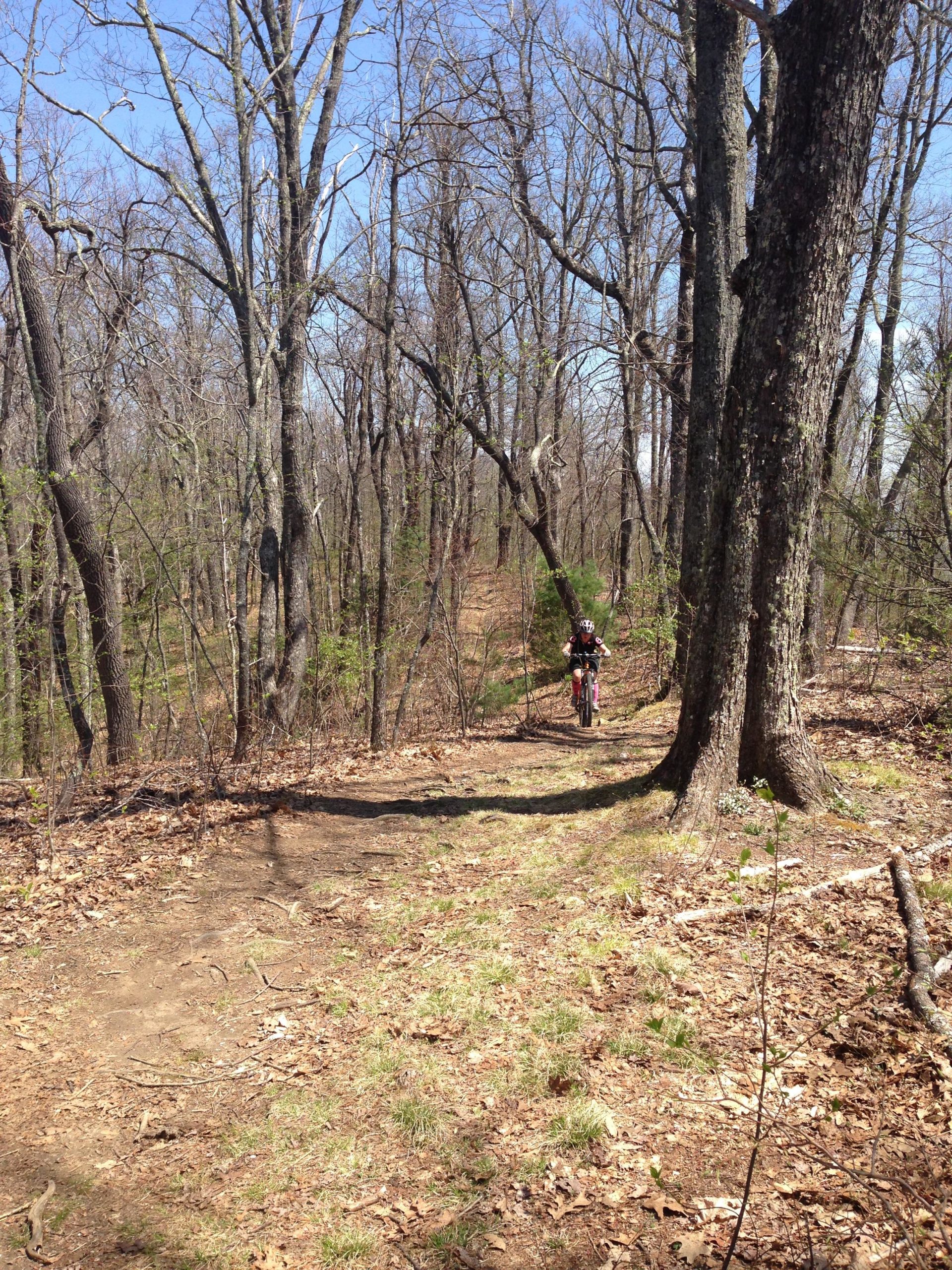 A person riding a mountain bike on a dirt trail through a wooded area, surrounded by trees with bare branches and some green foliage. The ground is covered with leaves and there is a clear blue sky above. Black Mountain mountain bike trail.