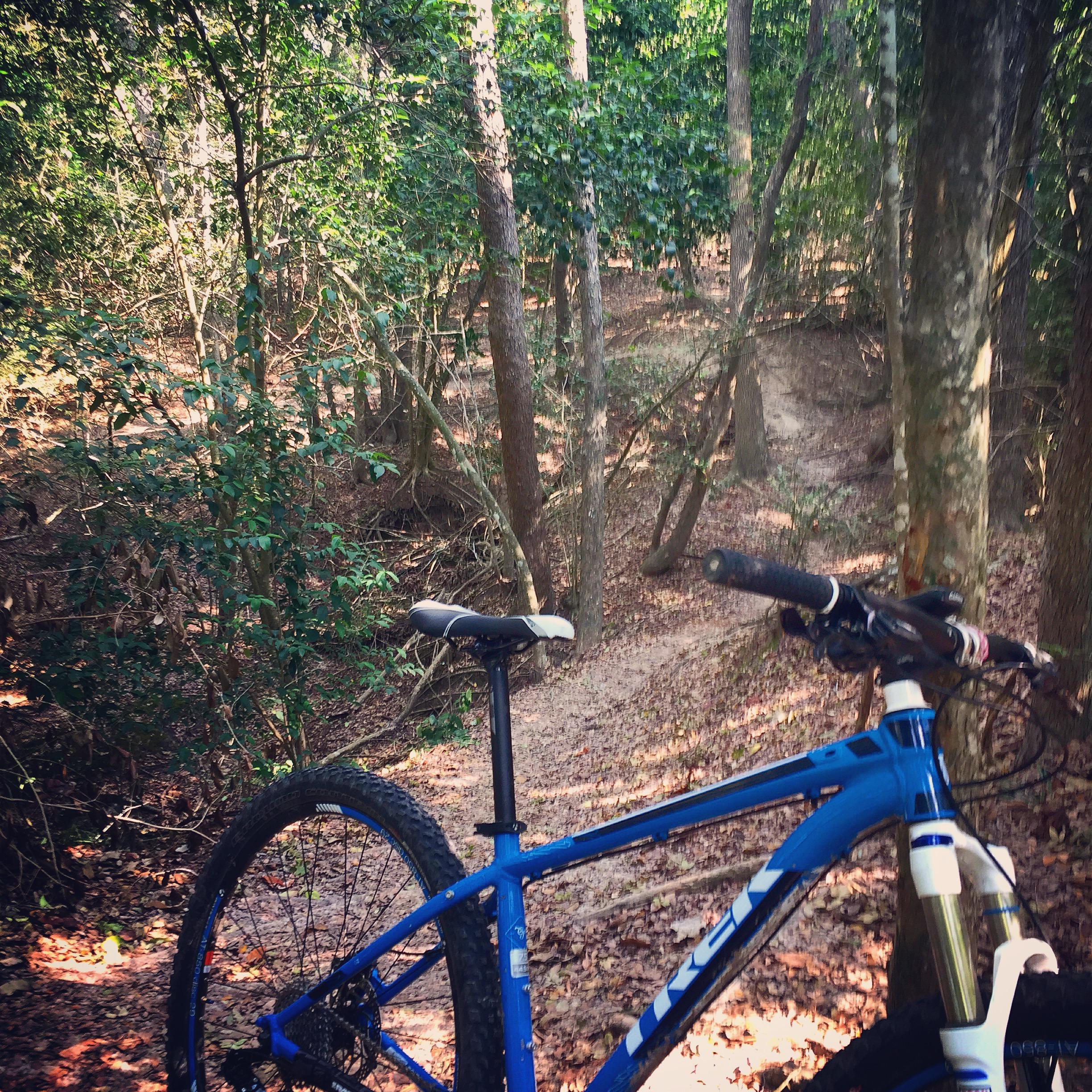 A blue mountain bike is parked on a dirt path surrounded by tall trees and dense foliage in a wooded area. The bike's seat and handlebars are in focus, with sunlight filtering through the trees, creating a natural, serene atmosphere. The Anthills at Terry Hershey Park mountain bike trail.